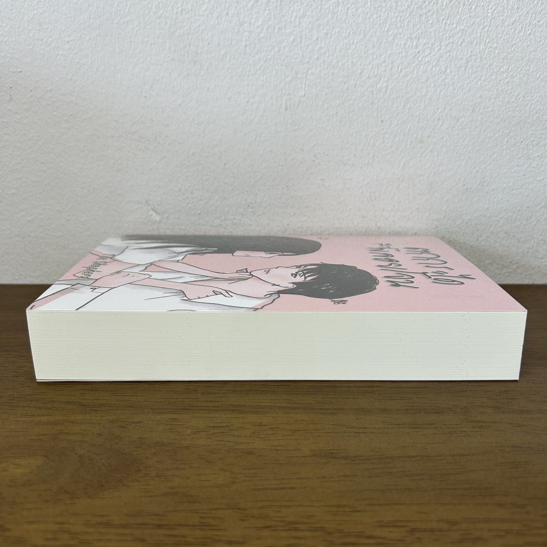 ตกกระไดพลอยโจน ... The Shepherd (มือสอง) นิยาย โรแมนติก ทำมือ