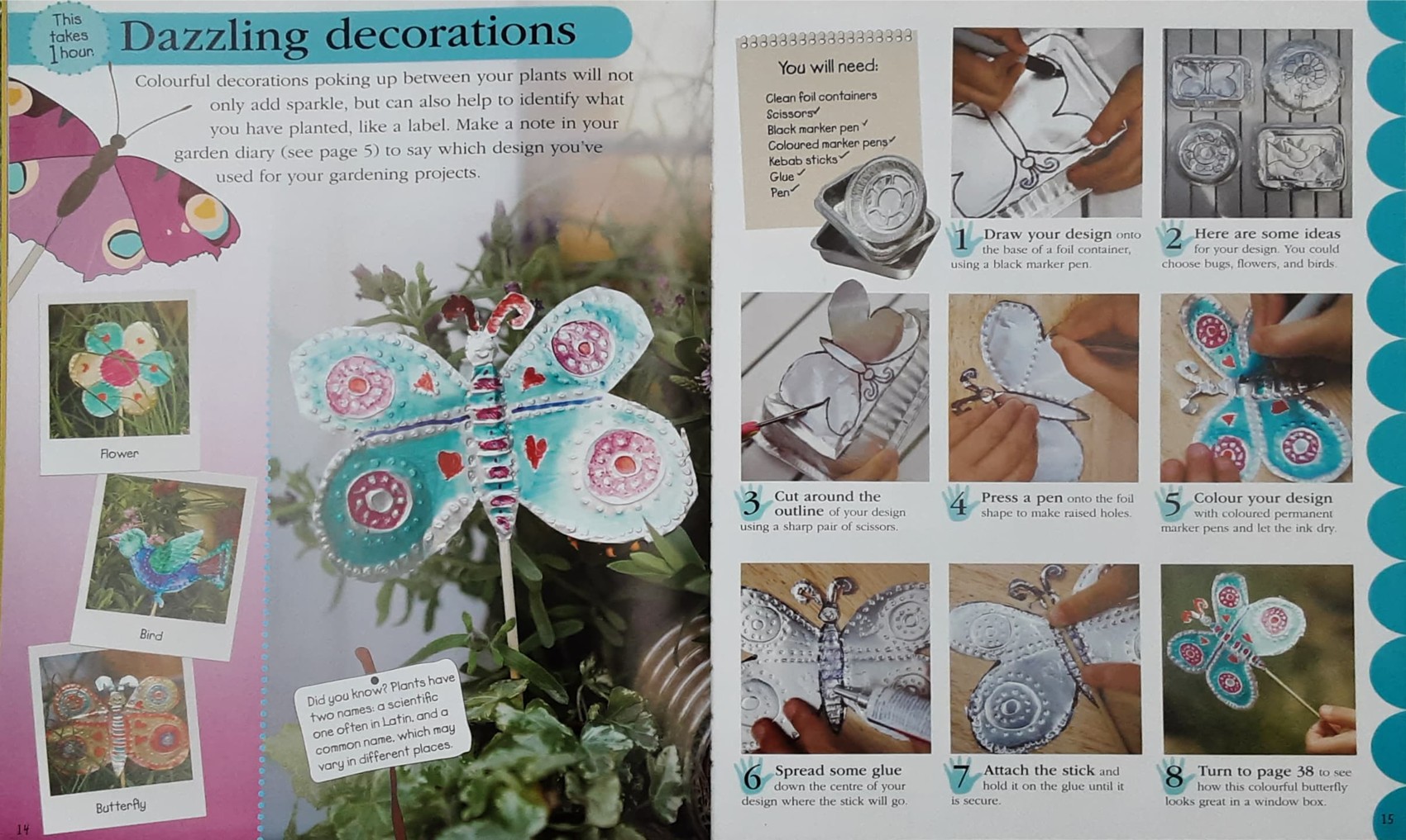 KNOWLEDGE BOOK ** 🍅🍓READY,STEADY,GROW