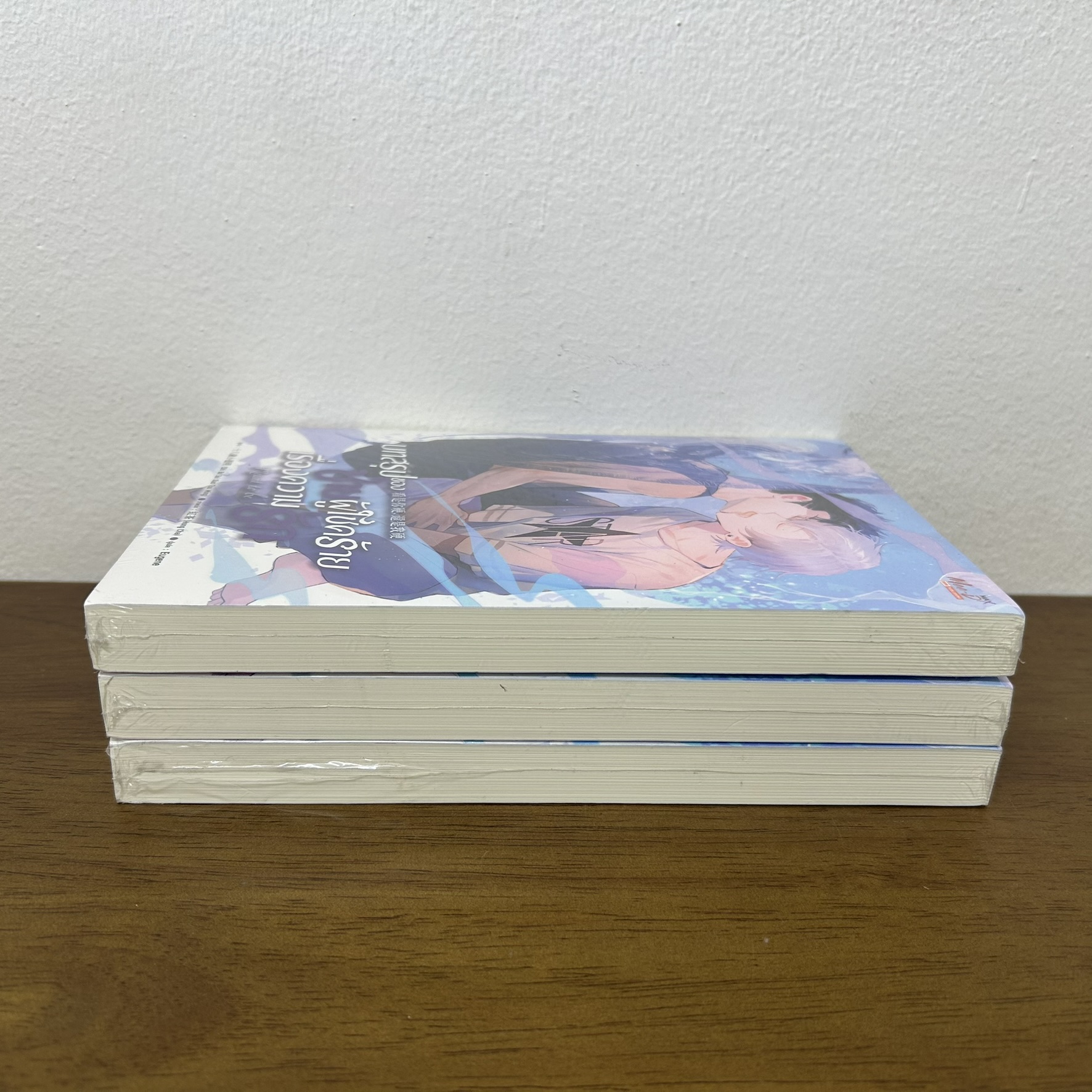 [YAOI] บทสรุปของชายผู้โชคร้ายเรื่องความรัก ... Shi Ba Sui Xiao Tou Ming (มือหนึ่งขีดสัน) นิยายวาย มีดี Meedee