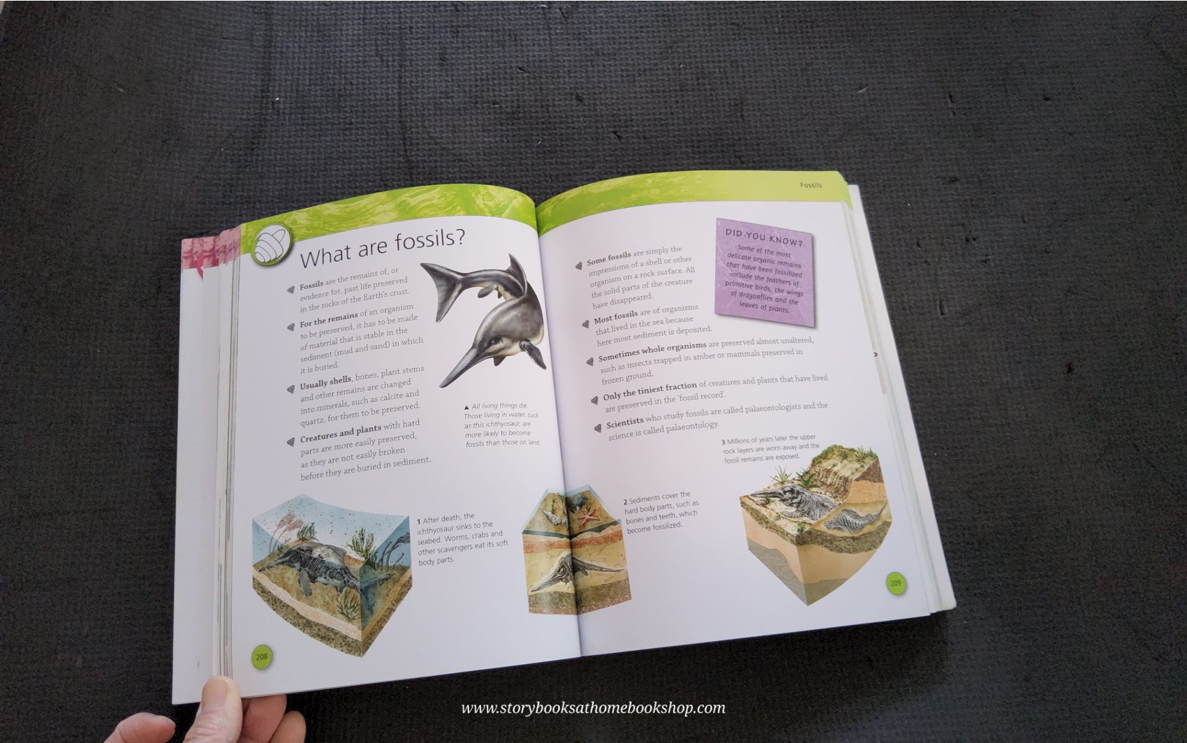 KNOWLEDGE BOOK** ♥️ROCK&FOSSILS DISCOVER THE WORLD BENEATH YOUR FEET