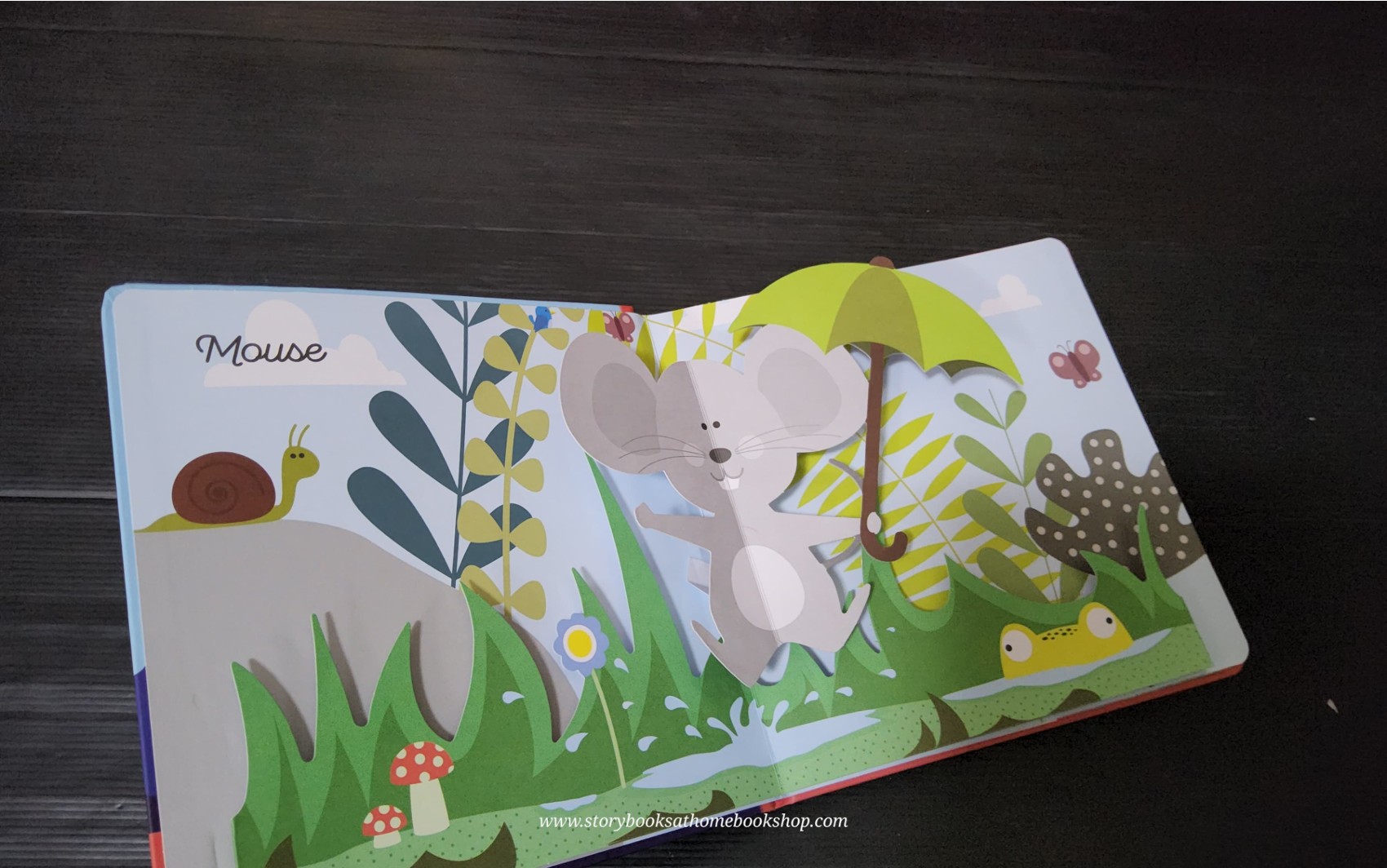 POP-UP BOOK** 🍅🍓MY ANIMAL POP-UP BOOK