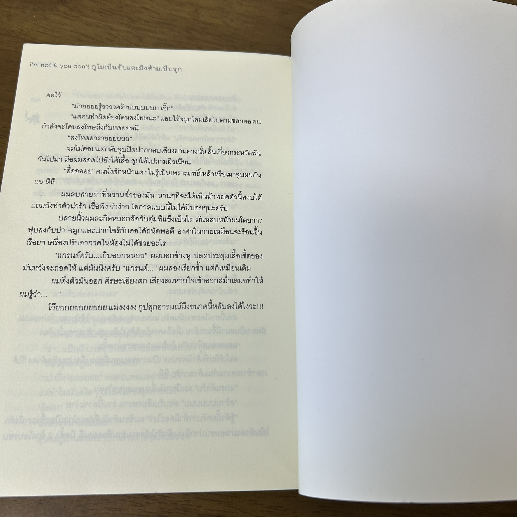 [YAOI] i'm not&you don't เล่ม 1-2 จบ ครบชุด ... Pierre (มือสอง) นิยายวาย ทำมือ