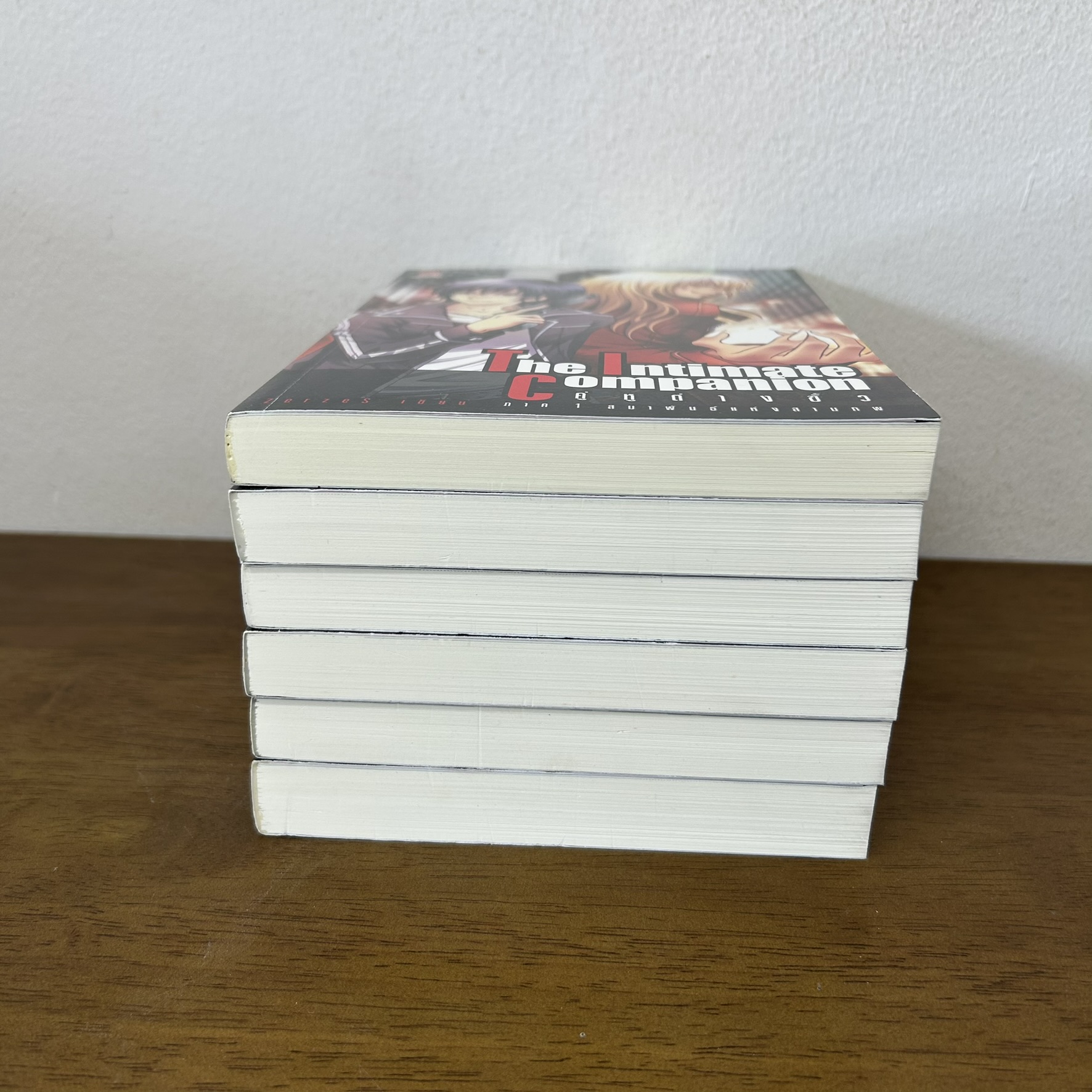 ชุด The Intimate Companion คู่หูต่างขั้ว เล่ม 1-5 จบ+ The Intimate Soul-Hunting ภารกิจล่าวิญญาณ ... ZerzeS (มือสอง)