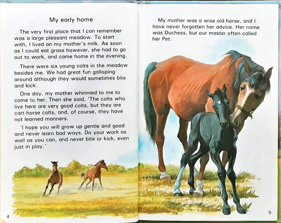 หนังสือนิทานปกแข็ง** 🍅🍓BLACK BEAUTY