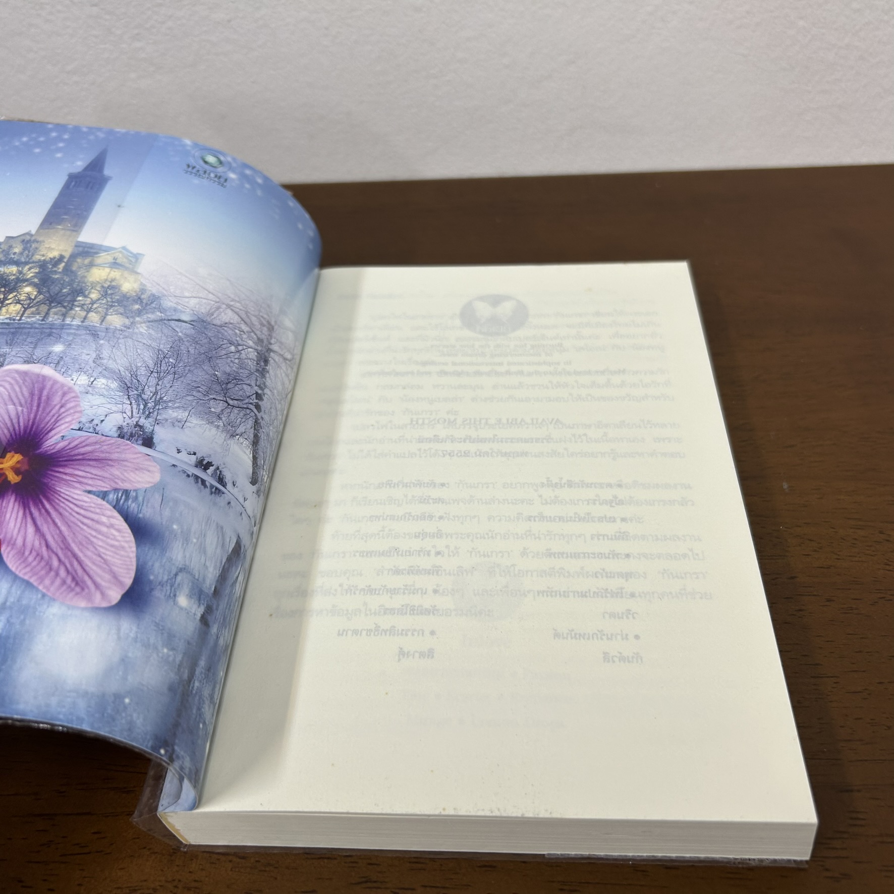 เปลวไฟในสายธาร ... กันเกรา (มือสอง) นิยาย โรมานซ์ พลอยวรรณกรรม