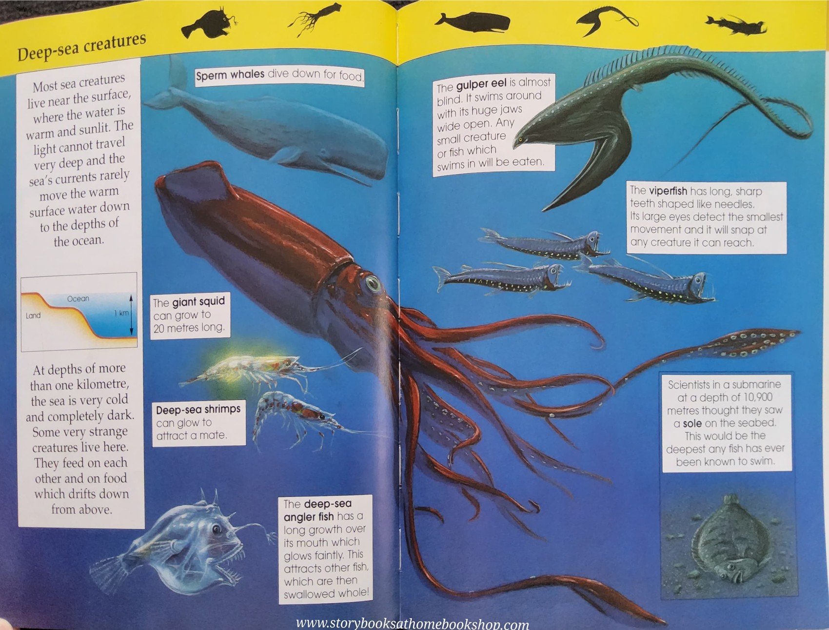 Knowledge Book** ððPUFFIN FACTFINDERS FANTASTIC SEA CREATURES