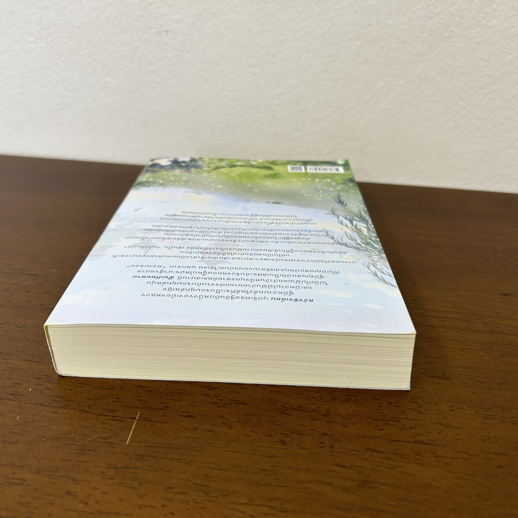 ข้าอยากเป็นภรรยาจอมยุทธ์ ... จ้าวเฉียนเฉียน จ้าวกานกาน (มือสอง) นิยายรัก นิยาย แปลจีน โรแมนติก