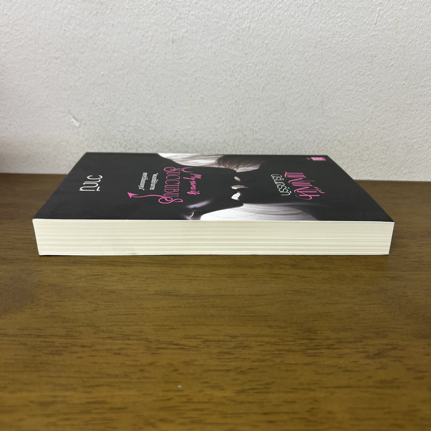 แฝงฝันนิรันดร์รัก My Name is Succubus ... วาณี (มือสอง) นิยาย โรมานซ์ สถาพร ชูการ์บีท