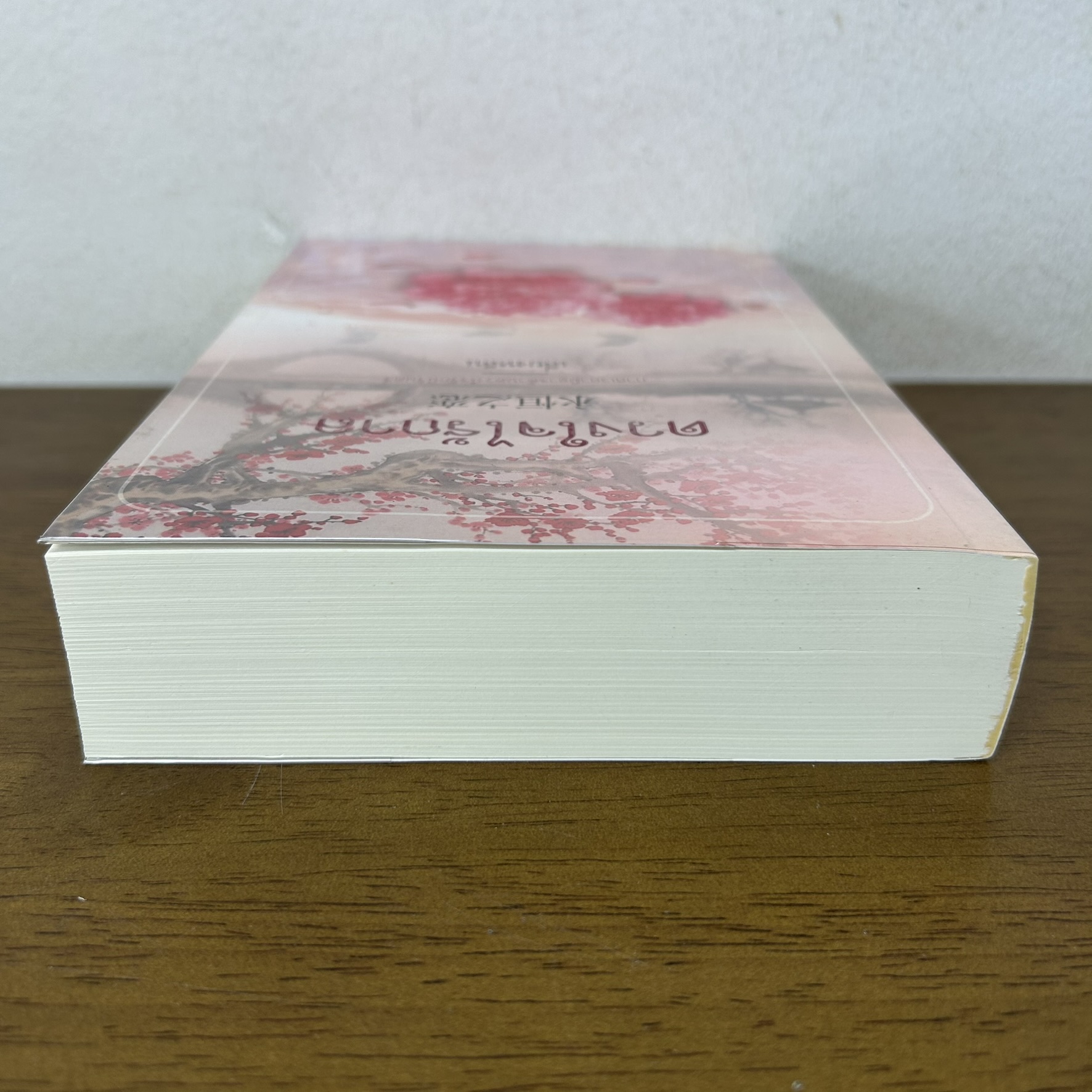 ดวงใจไร้กาล ... เลี่ยงหลิน ปลายน้ำ (มือสอง) นิยาย โรแมนติก คำต่อคำ