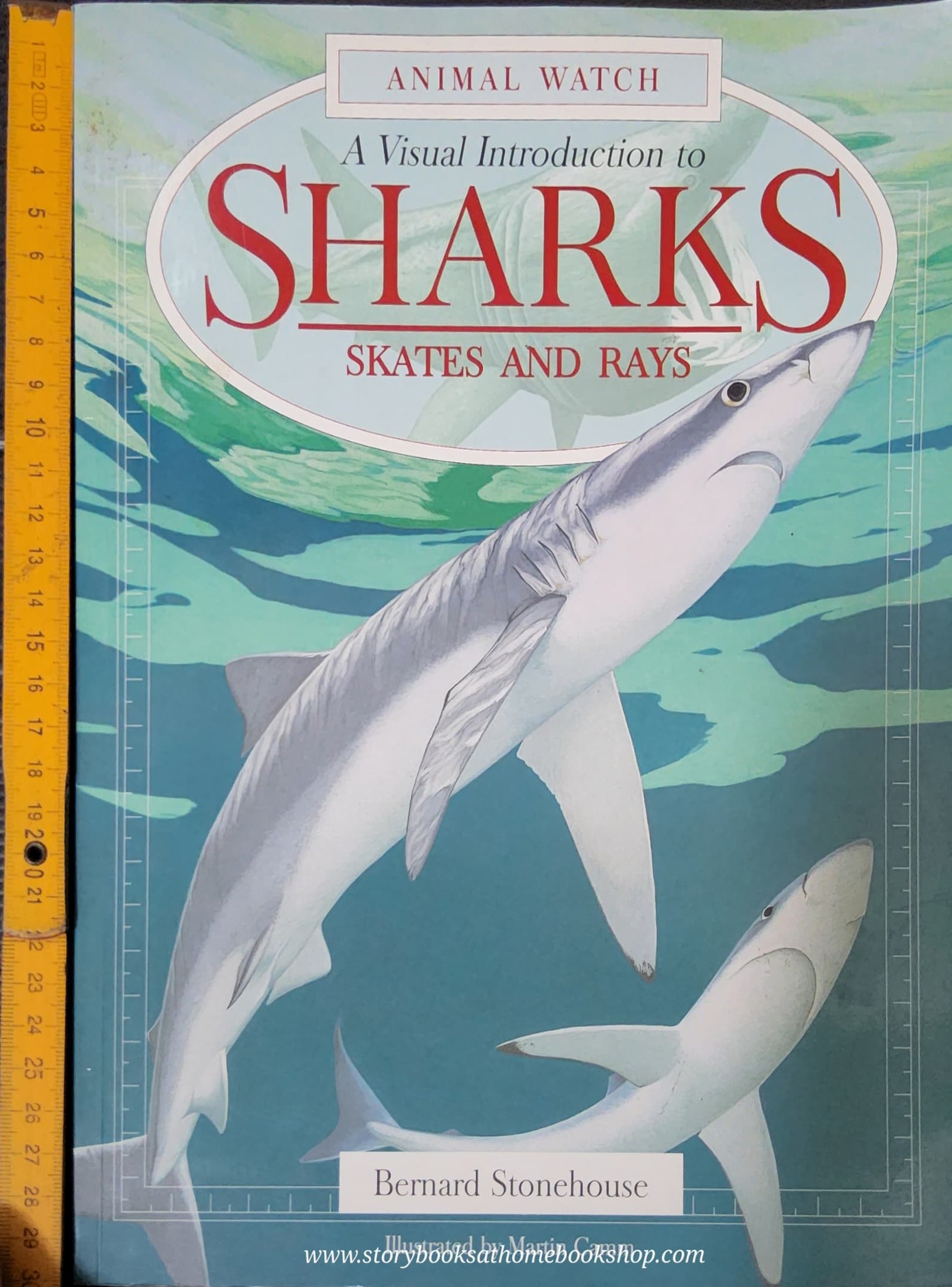 KNOWLEDGE BOOK** ð
ðANIMAL WATCH A VISUAL INTRODUCTION TO SHARKS SKATES AND RAYS