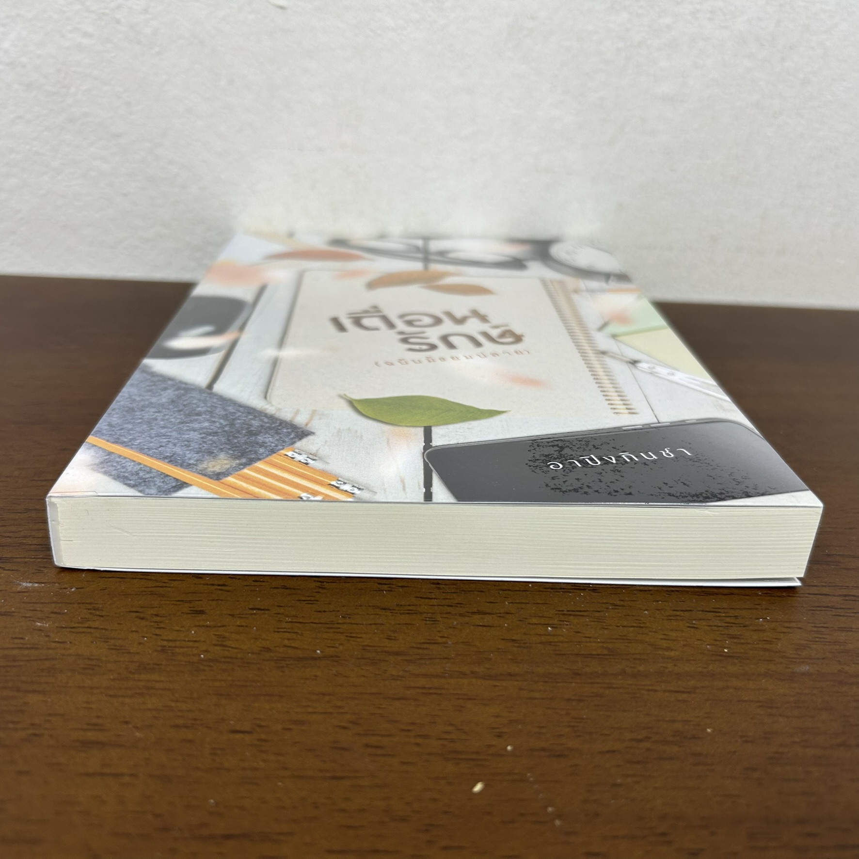 เถื่อนรักษ์ (ฉบับมัธยมปลาย) ... อาปิงกินชา (มือสอง) นิยายรัก