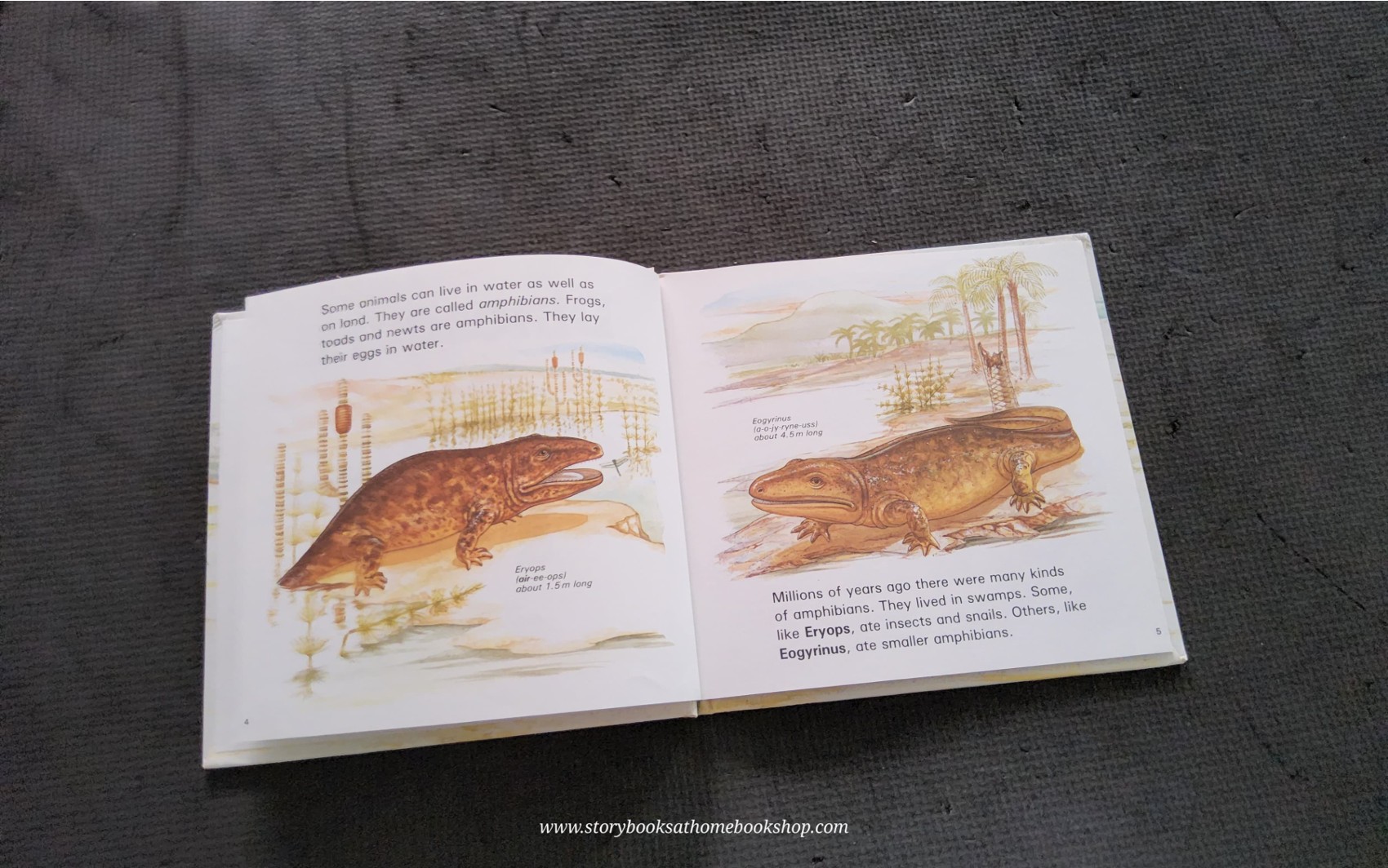 KNOWLEDGE BOOK** ð
ðDINOSAURS