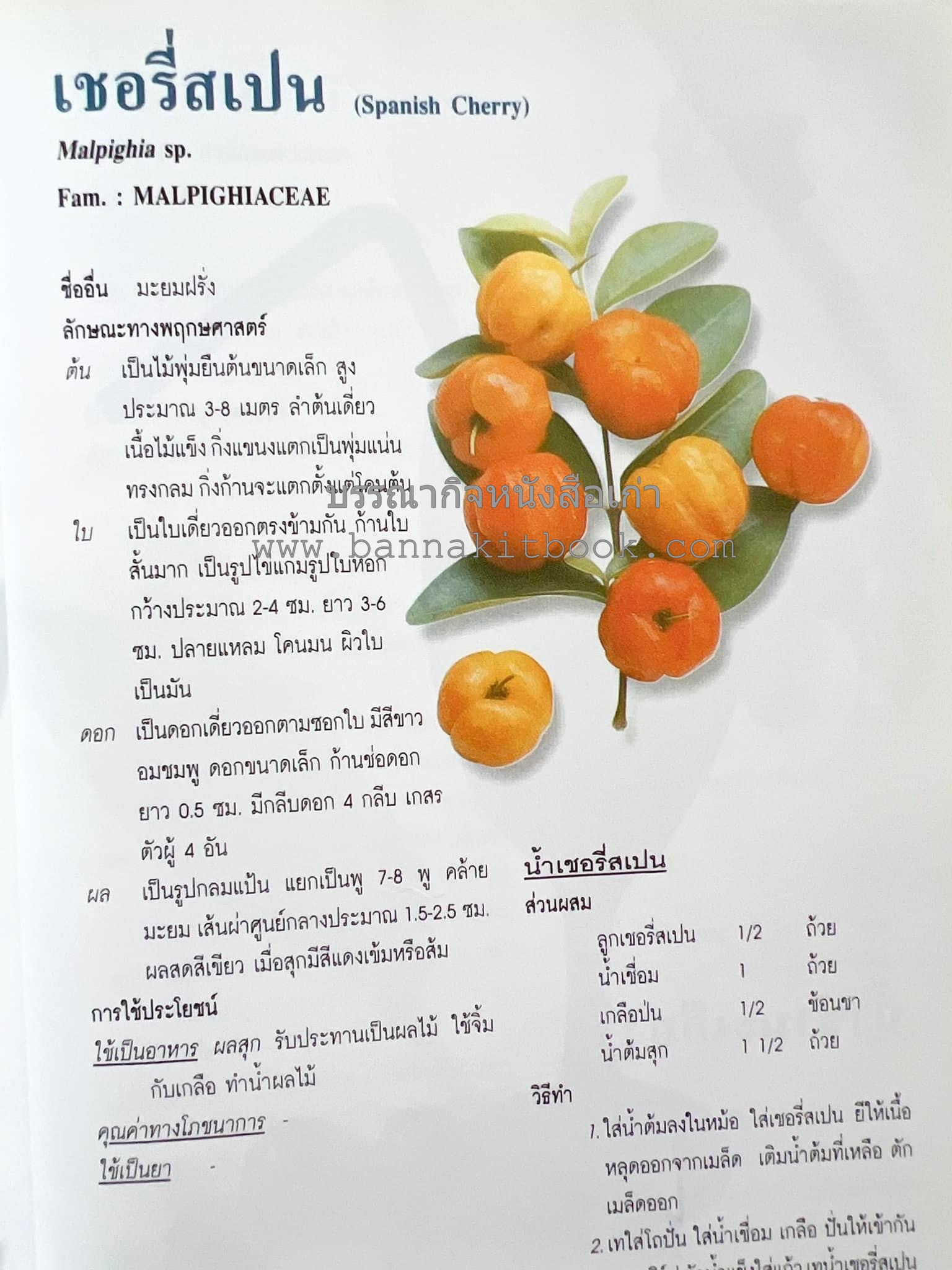 น้ำสมุนไพร 108 สูตร-วิธีทำจากผักพื้นบ้านและผลไม้ไทย โดย สถาบันการแพทย์แผนไทย.