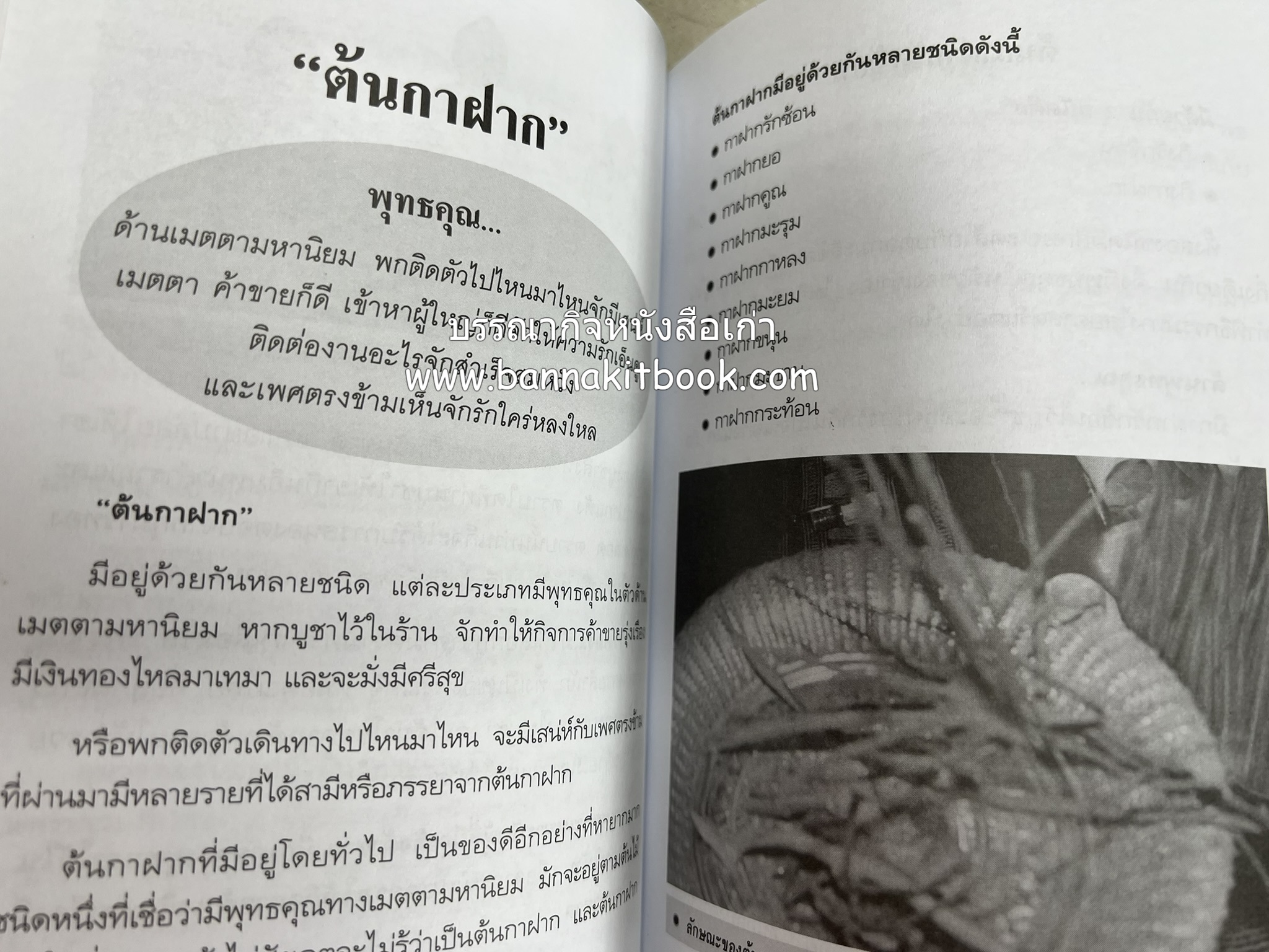 ของดีค้าขาย และเมตตามหาเสน่ห์ โดย : อาจารย์แปลก พรานนก.
