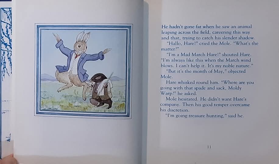 หนังสือนิทานปกแข็ง** 🍓🍓 MOLDY WARP THE MOLE