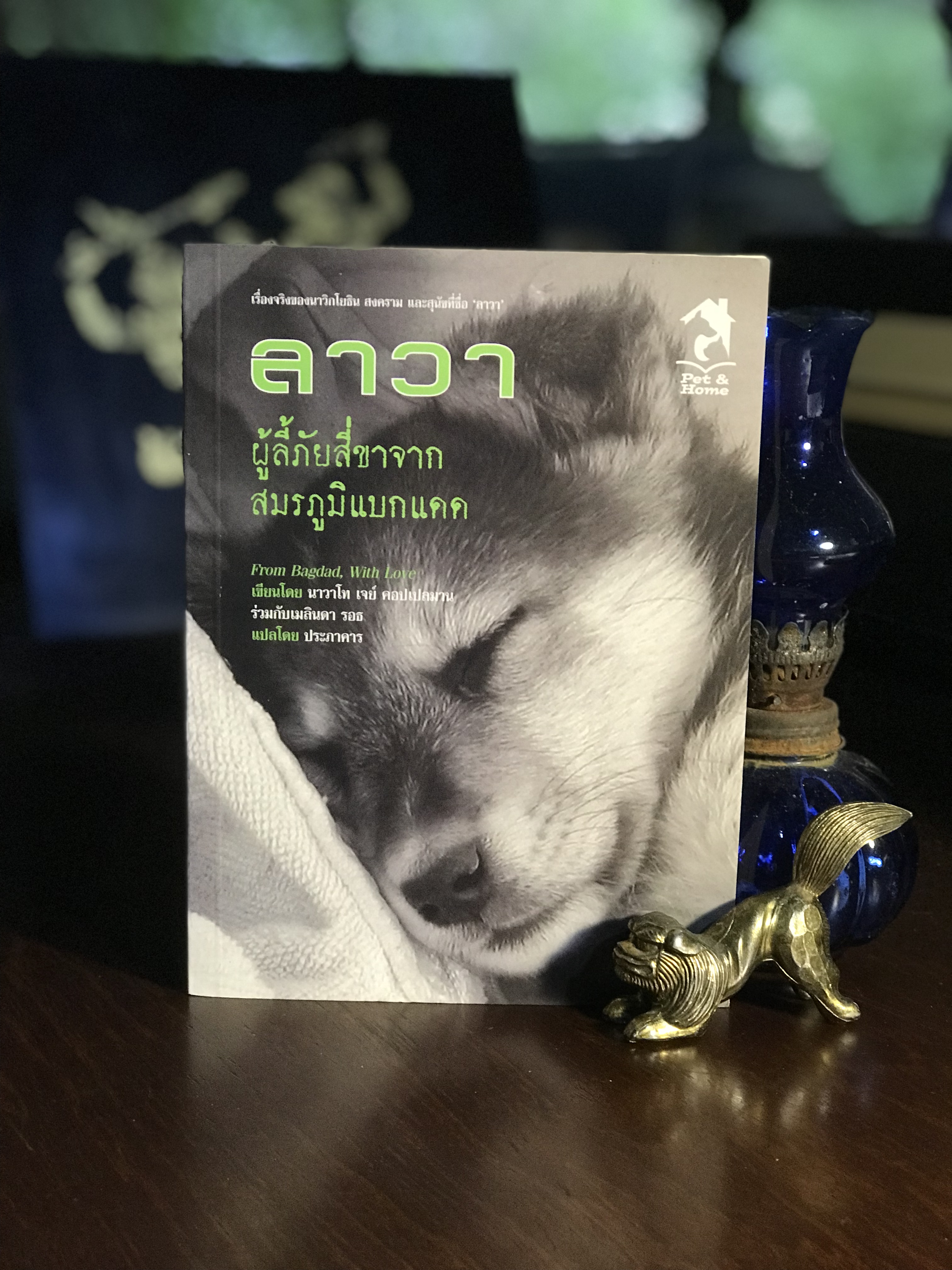 ลาวา ผู้ลี้ภัยสี่ขาจากสมรภูมิแบกแดด ผู้เขียน นาวาโท เจย์ คอปเปมาน รวมกับ เมลินดา รอธ ผู้แปล ประภาคาร สำนักพิมพ์ Pet& Home | SKR3