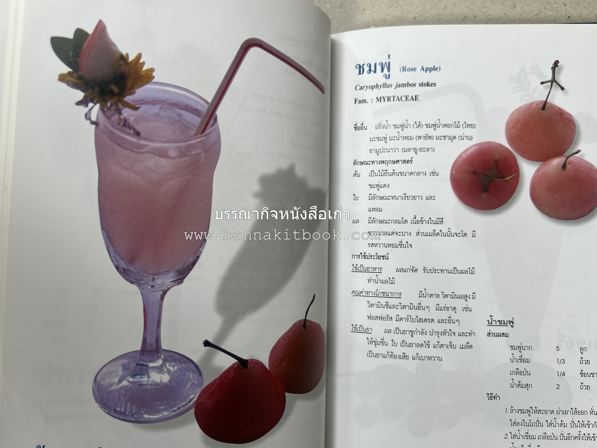 น้ำสมุนไพร 108 สูตร-วิธีทำจากผักพื้นบ้านและผลไม้ไทย โดย สถาบันการแพทย์แผนไทย.