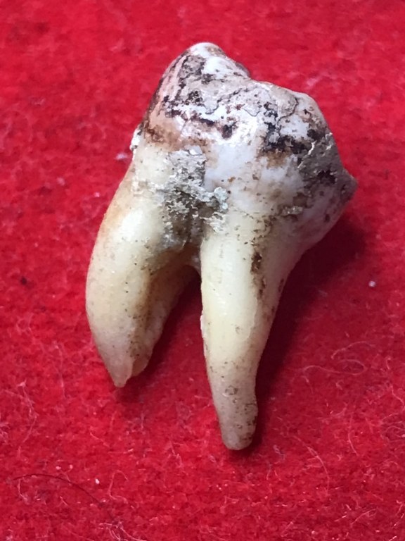 พระทันตธาตุครูบาคำแสน วัดป่าดอนมูล จ.เชียงใหม่ ได้มาจากกำนันคำ อดีตกำนันบ้านปากกอง อ.สารภี จ.เชียงใหม่ ปัจจุบันอายุ 86 ปี กำนันคำจะมีคนคอยหาวัตถุมงคลให้ ชื่อว่าลุงสมควร ปัจจุบันเสียชีวิตแล้ว ถ้ามีชีวิตอยู่ถึงปัจจุบันน่าจะมีอายุประมาณ 70 ปี