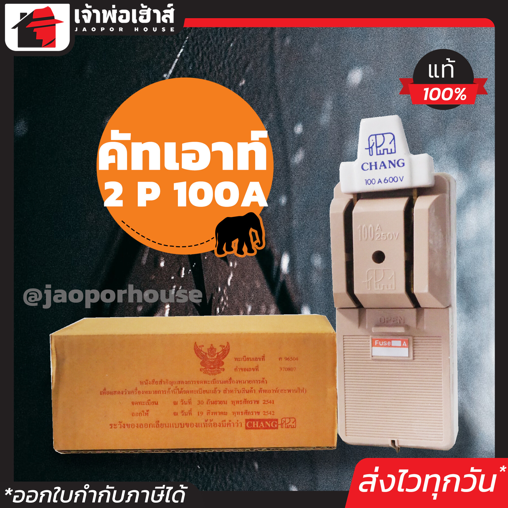 คัตเอาท์ CHANG 2P100A มีฉนวนป้องกันไฟฟ้า ทนความร้อนสูง คัทเอาท์ คัตเอาท์ไฟฟ้า คัทเอาท์ตัดไฟ