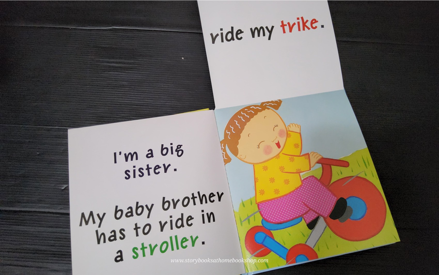 FLAP BOOK** ð
ðBEST-EVER BIG SISTER