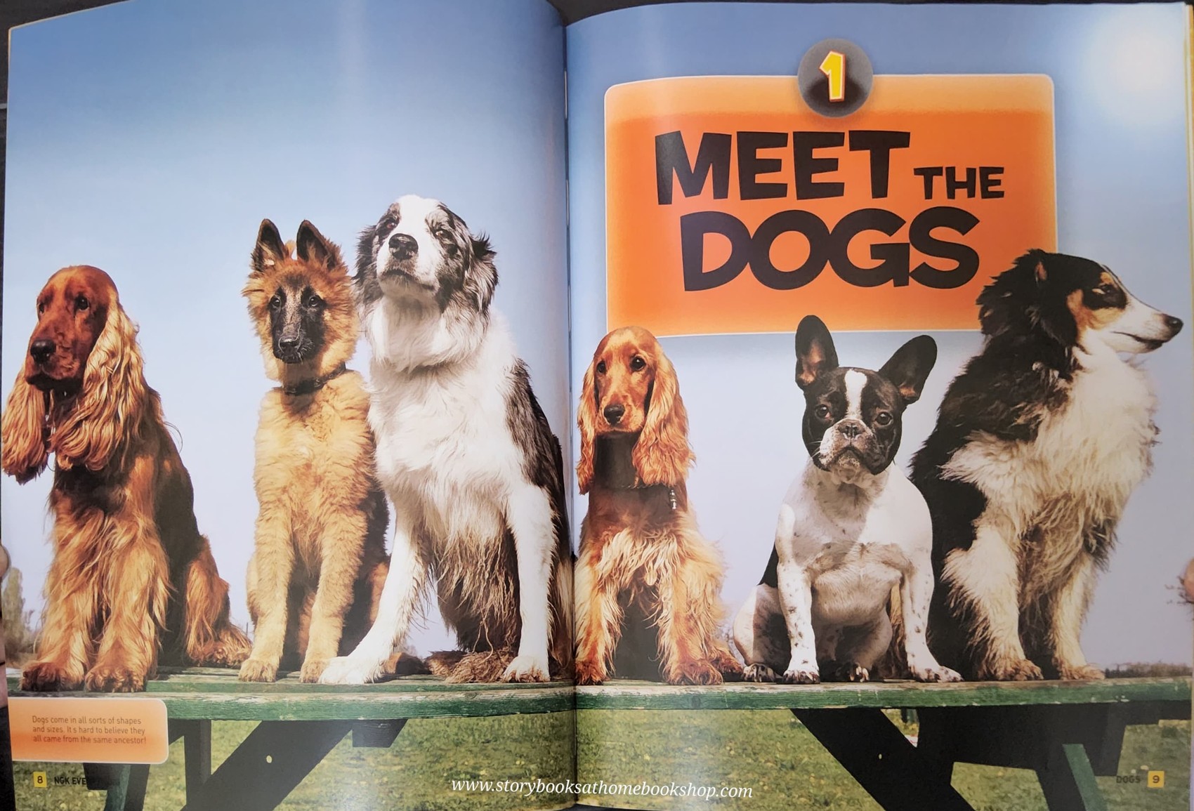 KNOWLEDGE BOOK** ♥️NATIONAL GEOGRAPHIC KIDS:EVERYTHING DOGS