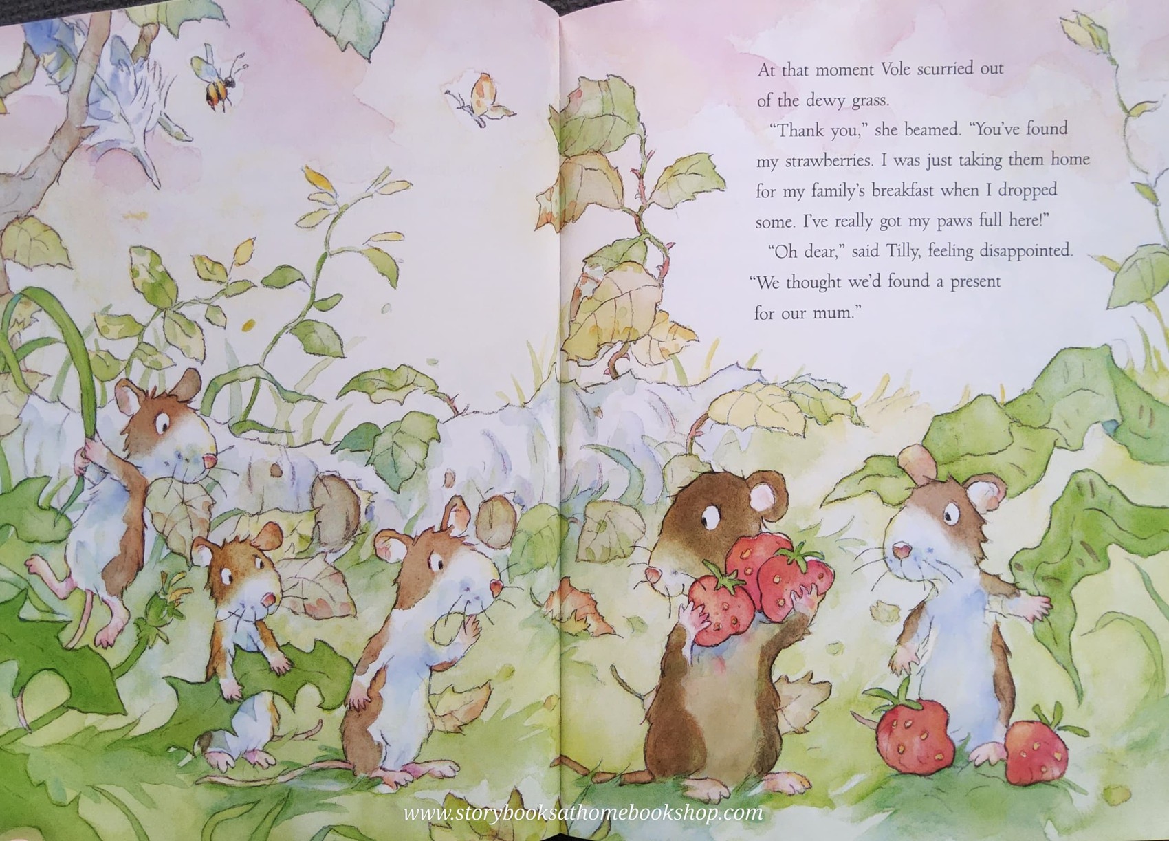 หนังสือนิทานปกอ่อน** 🍅JUST FOR YOU!♥️