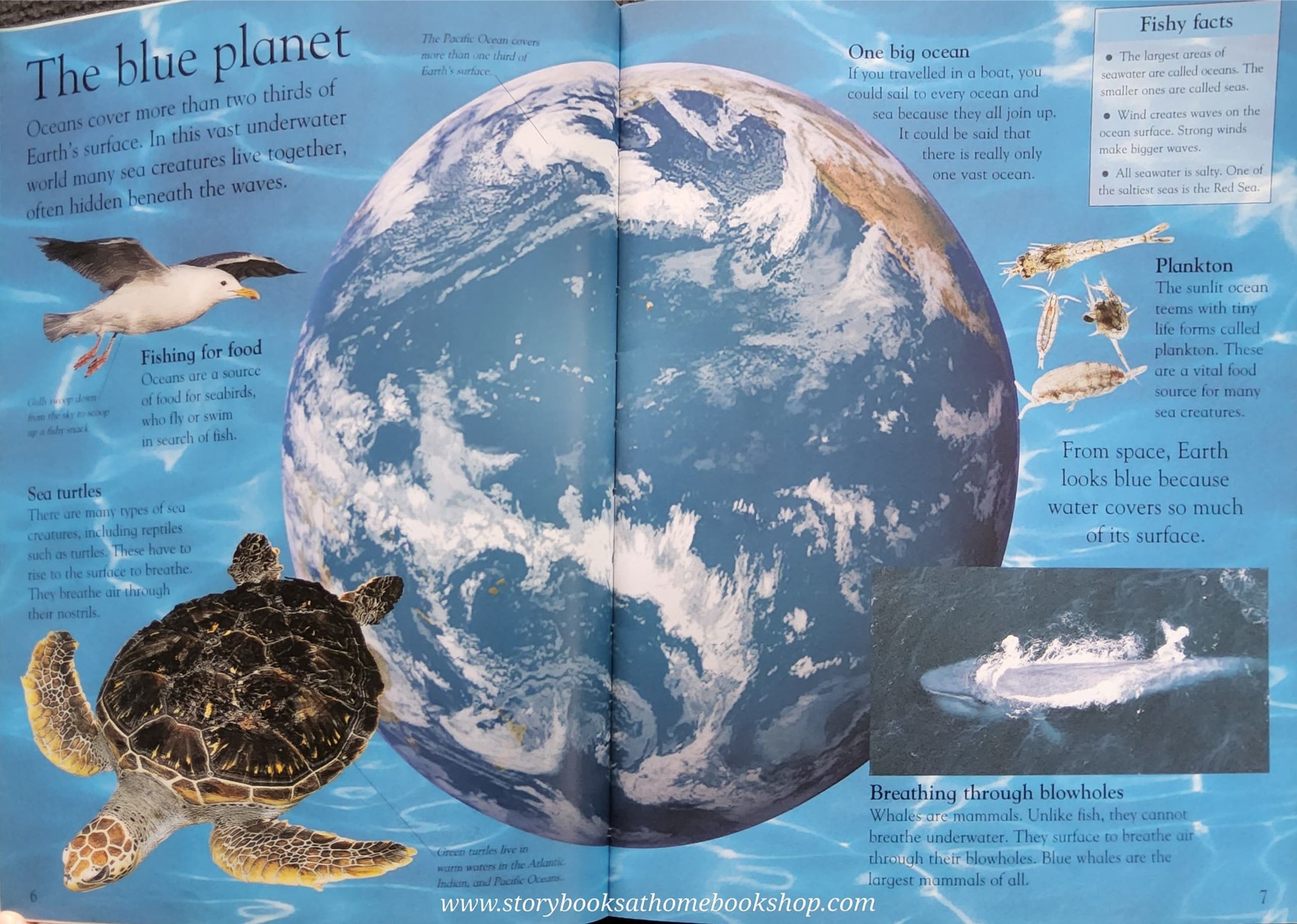 KNOWLEDGE BOOK** 🍅🍓DK EYEWONDER OCEAN ENTER A WORLD OF DISCOVERY