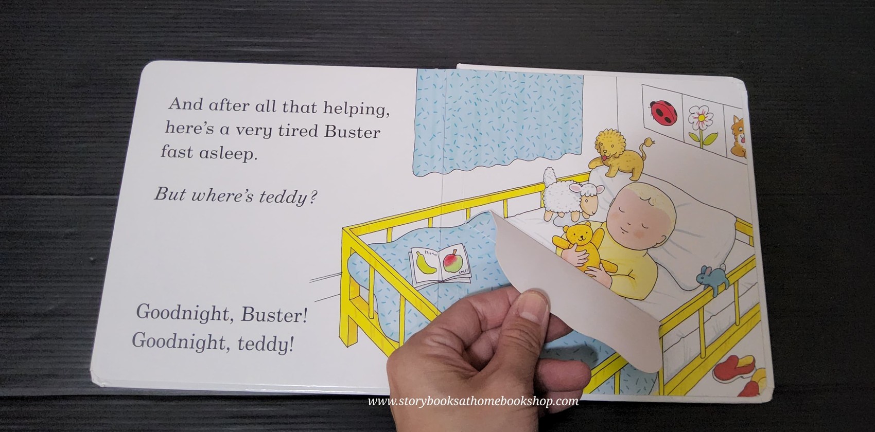 BOARD BOOK** 🍅🍅WHERE'S TEDDY? BY ROD CAMPBELL