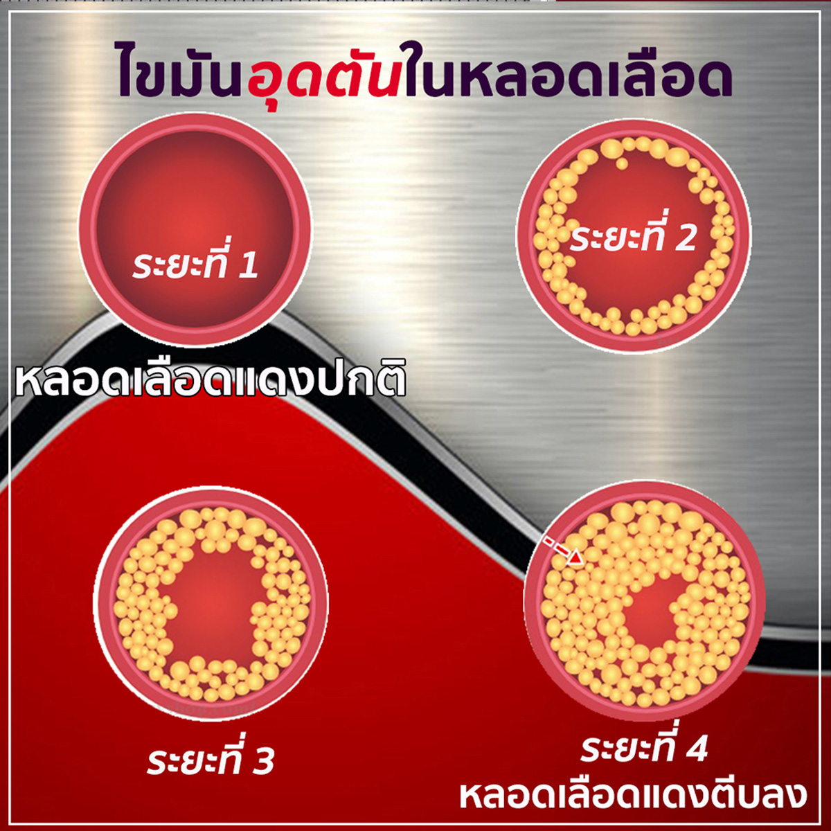 เคโอ เพื่อระบบเลือด