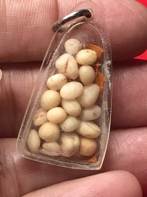 พระเกศา จีวร พระธาตุข้าวบิณฑ์ หลวงปู่ ครูบาชัยยะวงศา วัดพระพุทธบาทห้วยต้ม พระเกศาจำนวนมาก