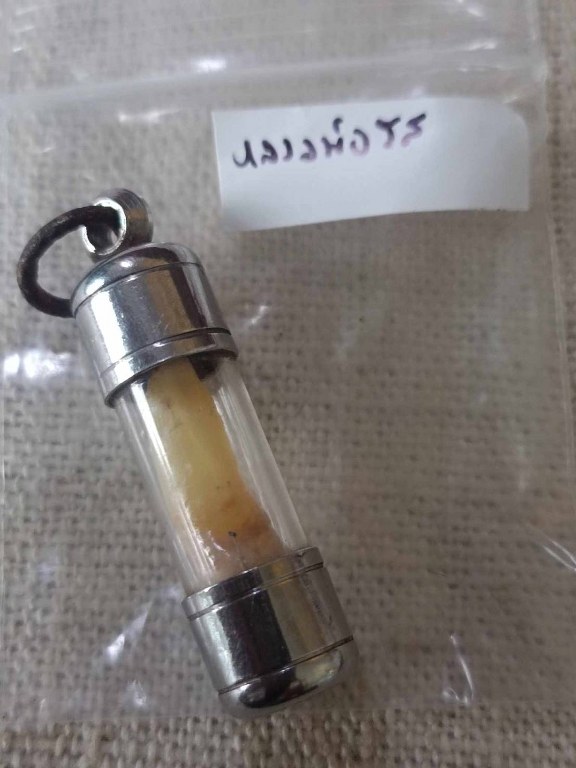 พระทันตธาตุ หลวงพ่อรส วัดหนองไข่ จ.แพร่ ได้มาจากคุณวินัย อายุ 84 ปี อดีตนายอำเภอ หลายพื้นที่ คุณวินัย นับถือหลวงพ่อรส เคยรับใช้และเก็บสะสมวัตถุมงคลของหลวงพ่อรส ได้รับพระทันตธาตุหลวงพ่อรสมาเมื่อ พ.ศ.2531 ท่านวินัย รับใช้หลวงพ่อรสจนหลวงพ่อรสมรณภาพ