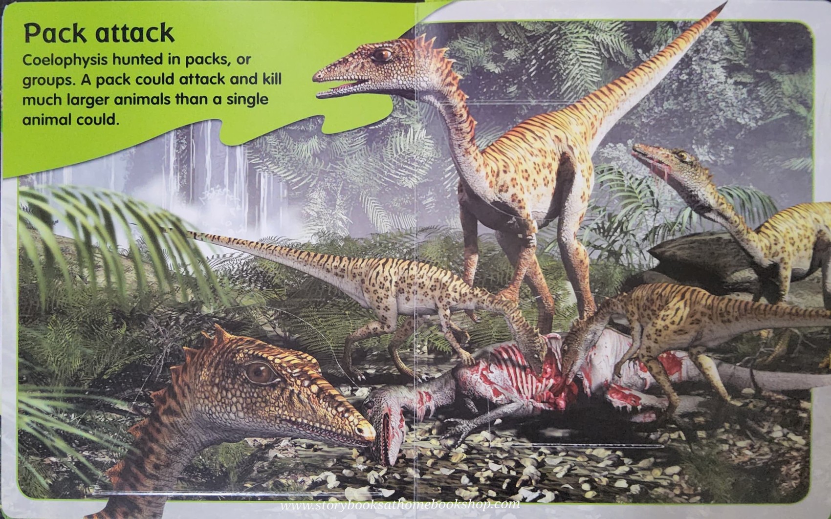 KNOWLEDGE FLAPS BOOK** 🍅🍓LIFE AND EXPLORE DINOSAURS:WHAT'S UNDER THE FLAPS?