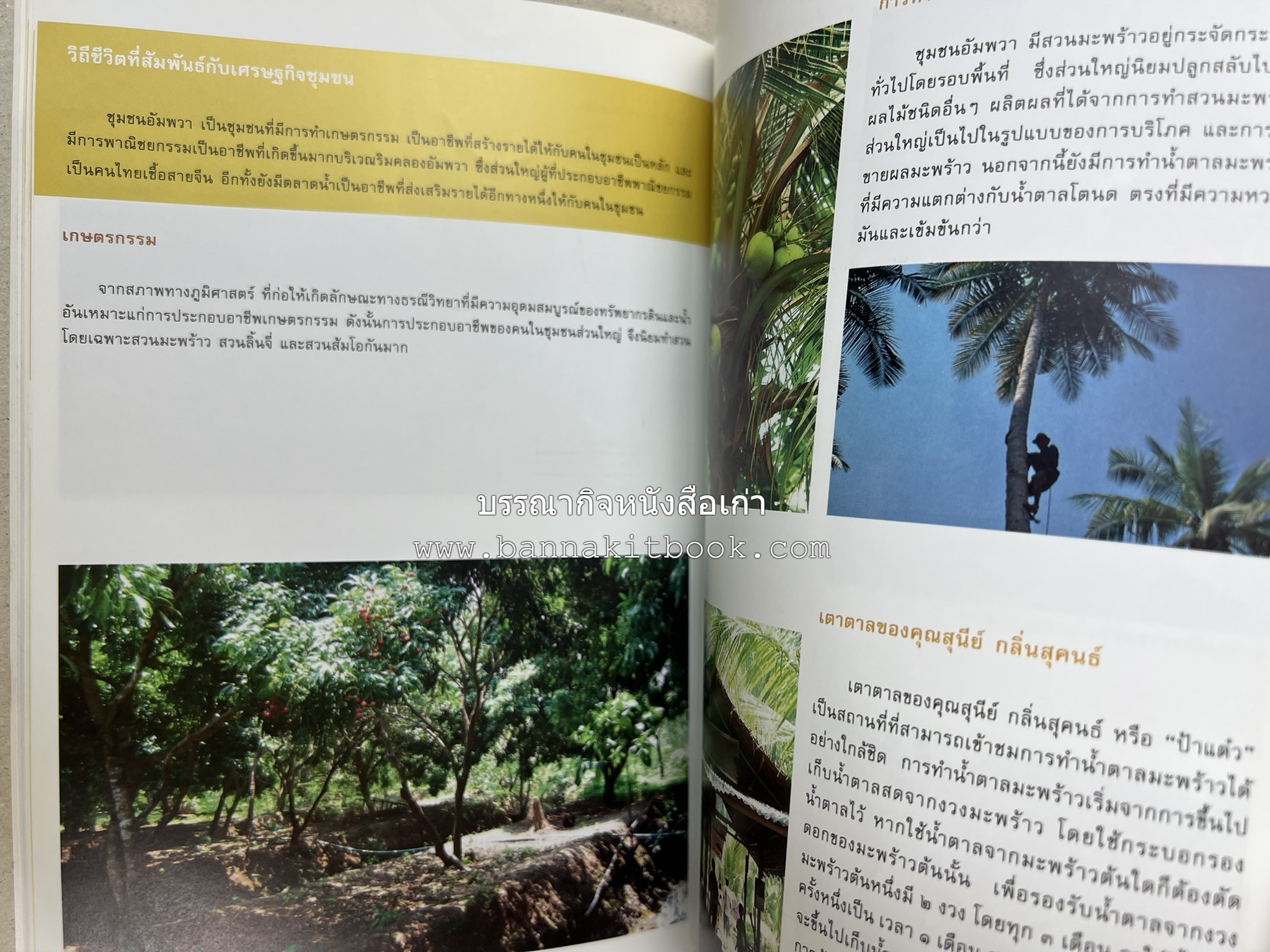 เที่ยวชุมชนอัมพวา โดย : รศ.ดร.วรรณศิลป์ พีรพันธ์ คณะสถาปัตยกรรม จุฬาลงกรณ์มหาวิทยาลัย.