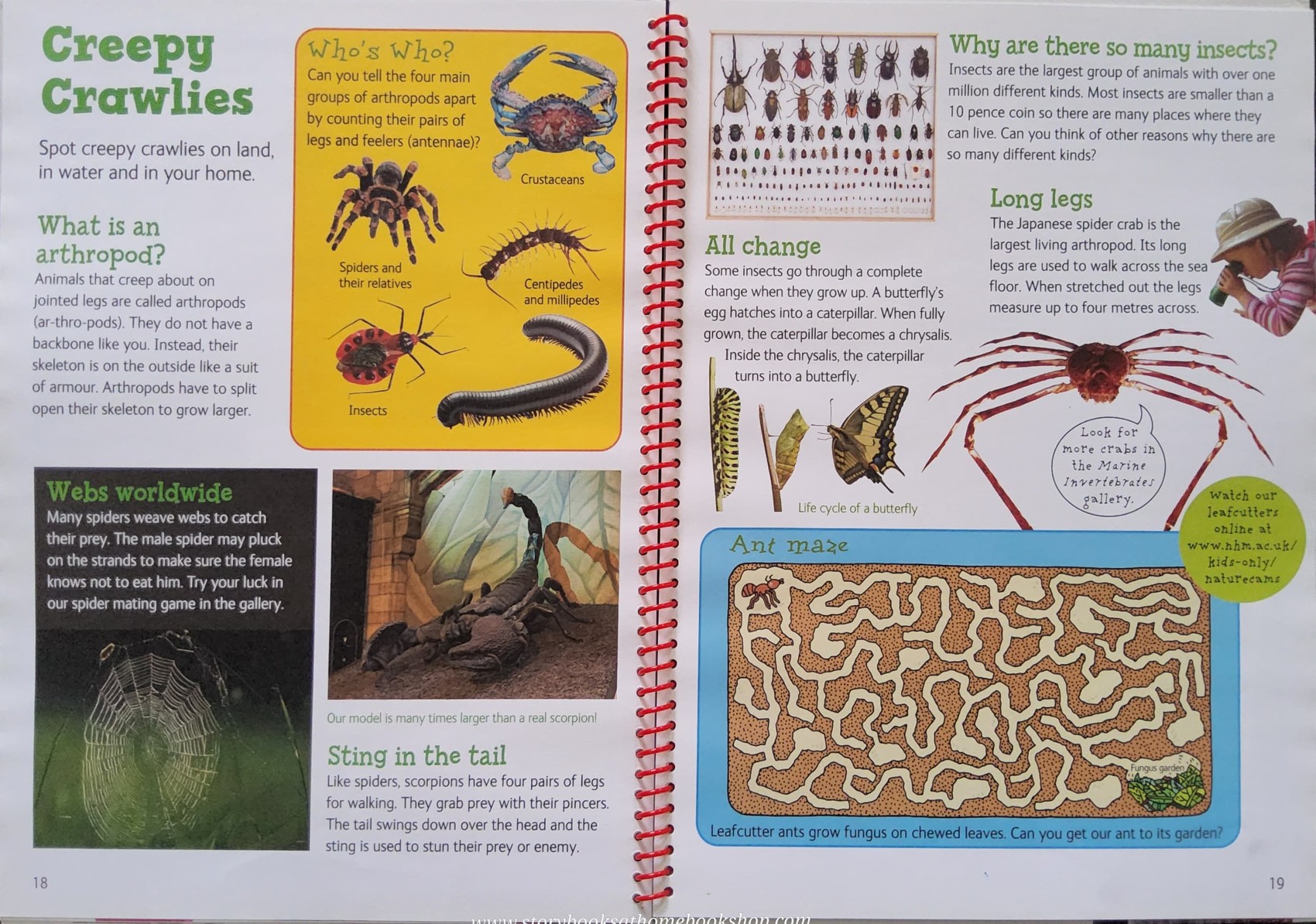 KNOWLEDGE BOOK** 🍓🍓 NATURAL HISTORY MUSEUM KIDS ONLY