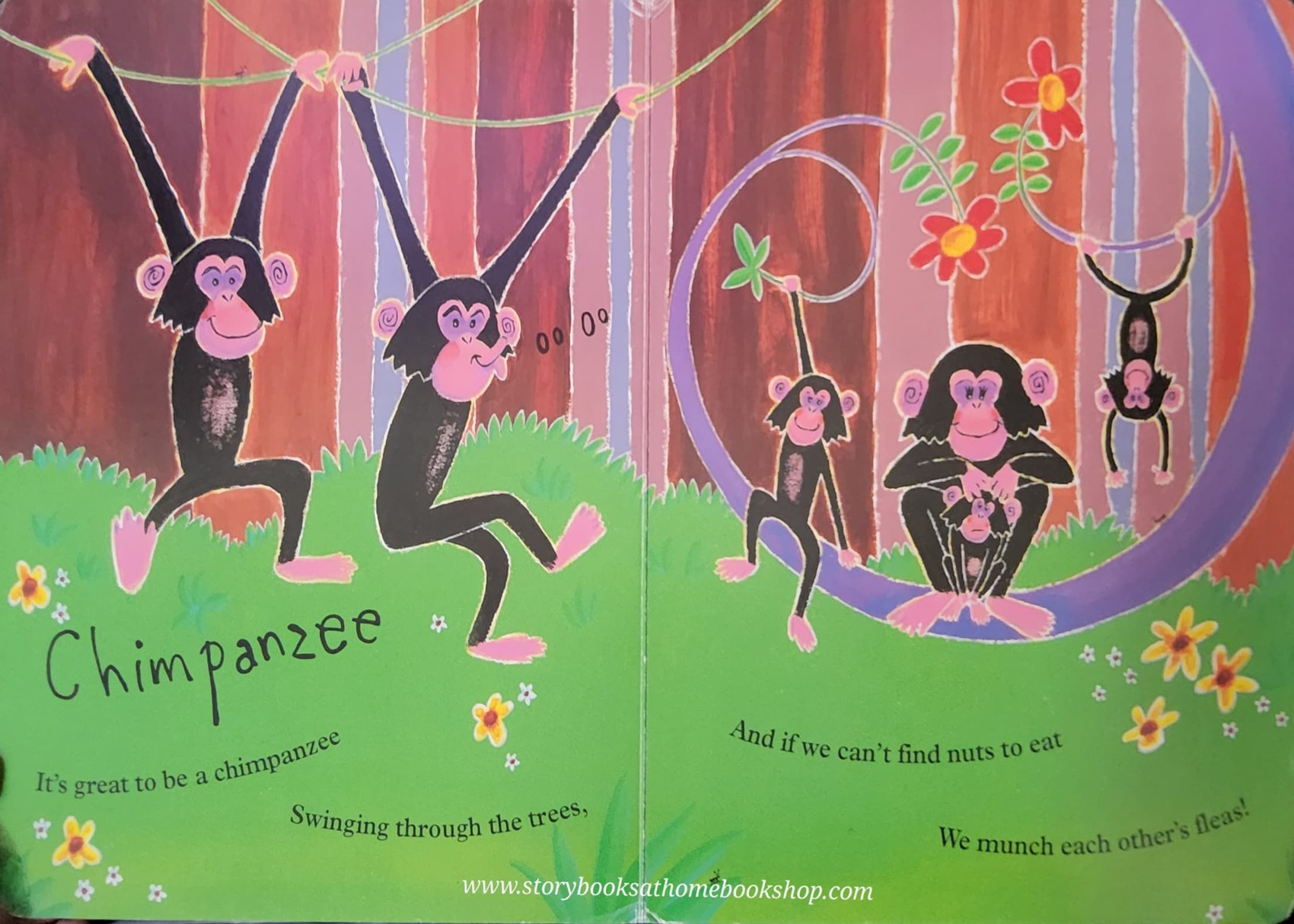 BOARD BOOK** ð
ðRUMBLE IN THE JUNGLE