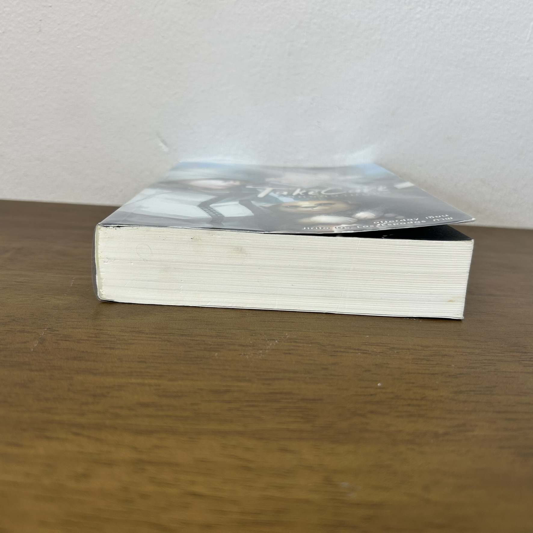 [YAOI] Take Care แสดงความดูแล ... afterday (มือสอง) นิยายวาย everY