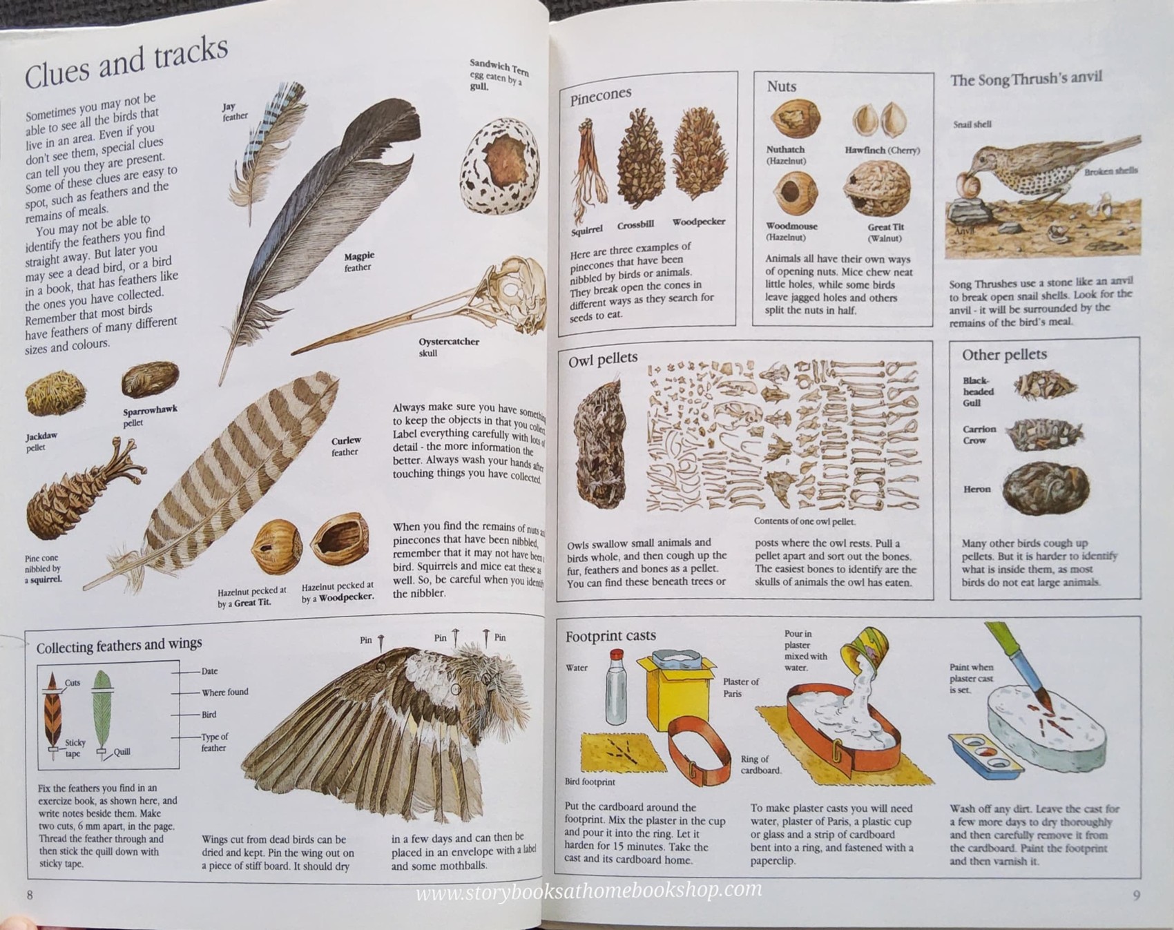 KNOWLEDGE BOOK** 🍓🍓THE USBORNE NATURETRAIL BOOK OF BIRDWATCHING