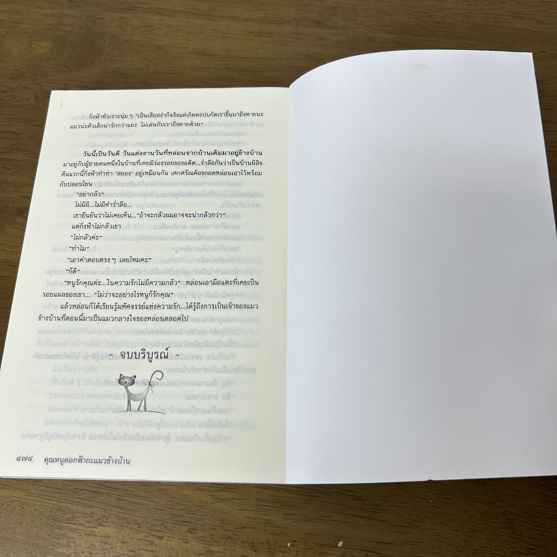 คุณหนูดอกฟ้ากะแมวข้างบ้าน ... กันยามาส (มือสอง) นิยาย โรแมนติก แสงดาว