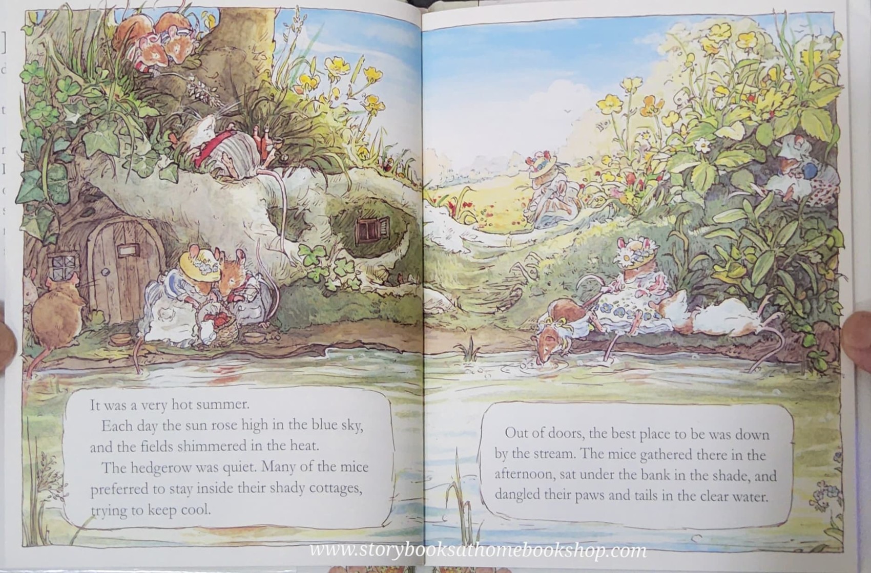 หนังสือนิทานปกแข็ง** 🍅🍓BRABLY HEDGE SUMMER STORY BY JILL BARKLEM