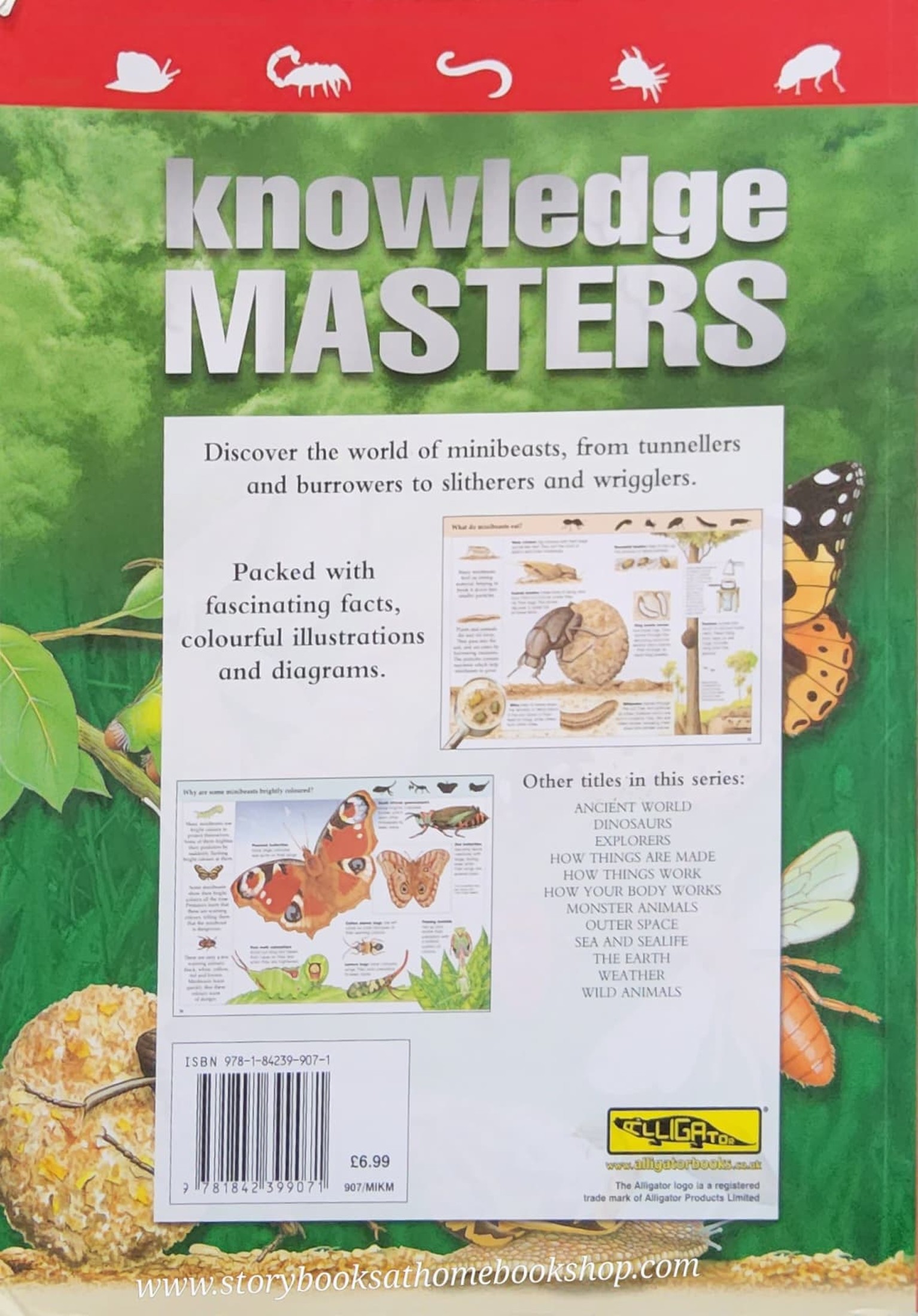 KNOWLEDGE BOOK** ♥️♥️KNOWLEDGE MASTERS MINIBEASTS♥️