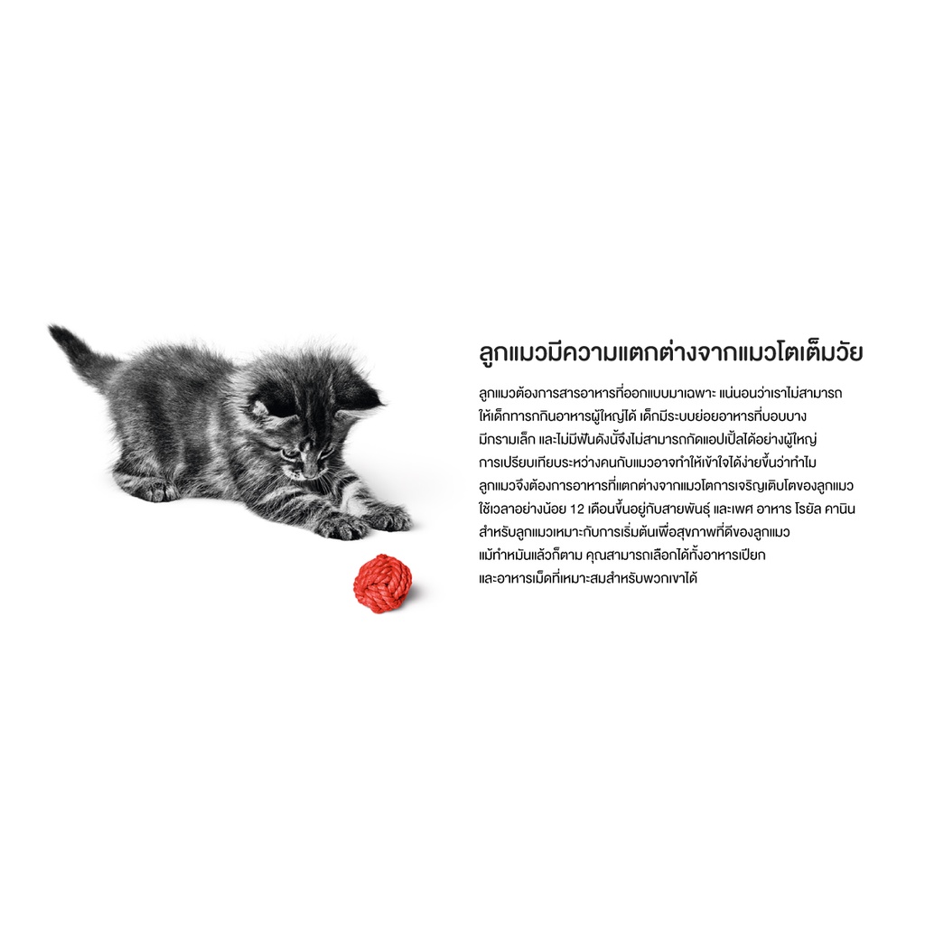 ** 12 กระป๋อง ** Royal Canin Mother & Babycat อาหารเปียกกระป๋อง สำหรับแม่และลูกแมว ขนาด 195 กรัม