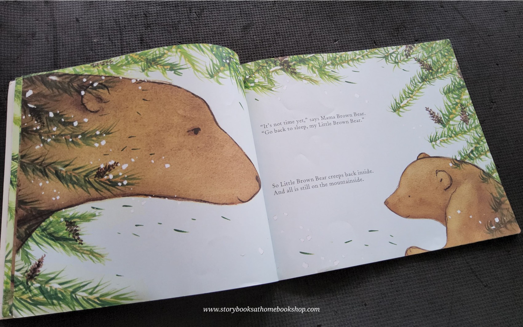 หนังสือนิทานปกอ่อน ** 🍅🍓 TWO LITTLE BEARS