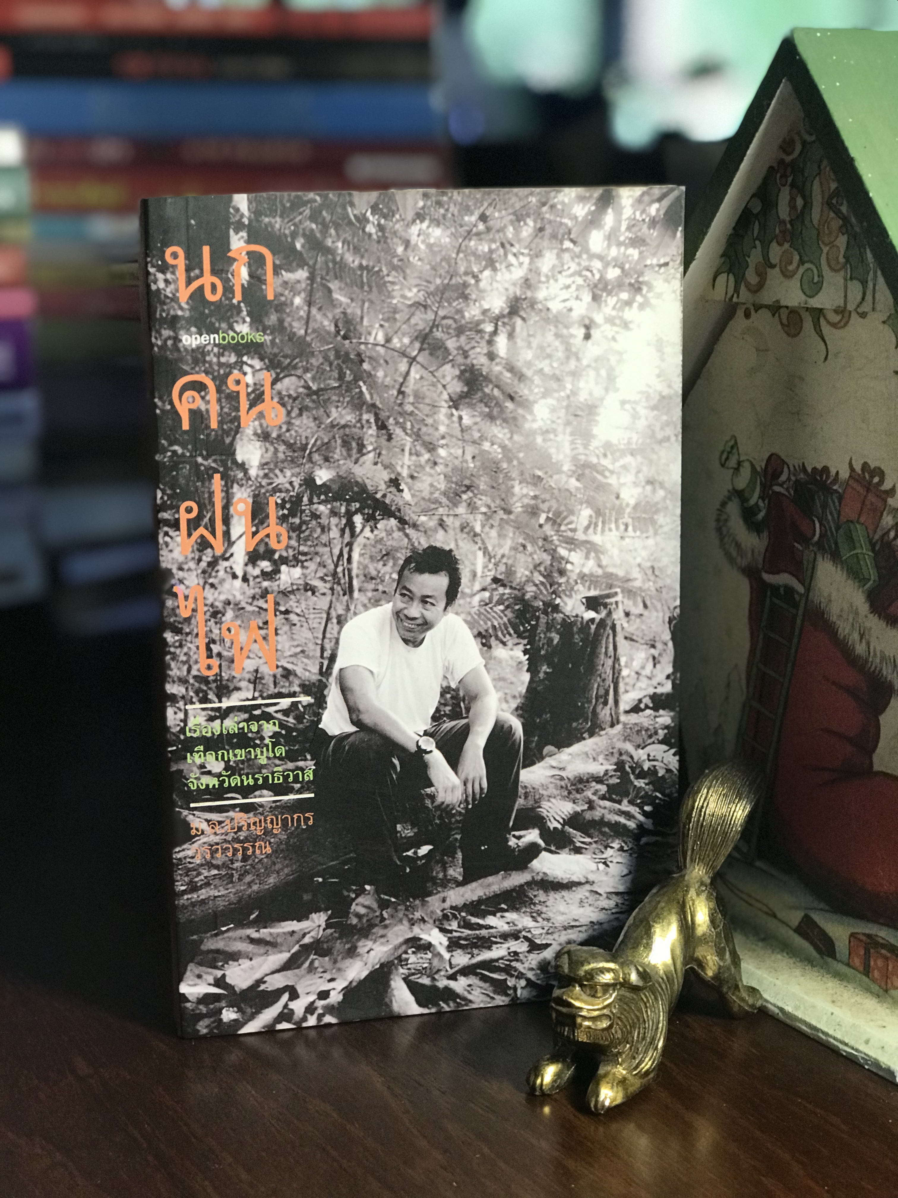 นก คน ฝน ไฟ ผู้เขียน ม.ล.ปริญญากร วรวรรณ สำนักพิมพ์ openbooks -WA1-