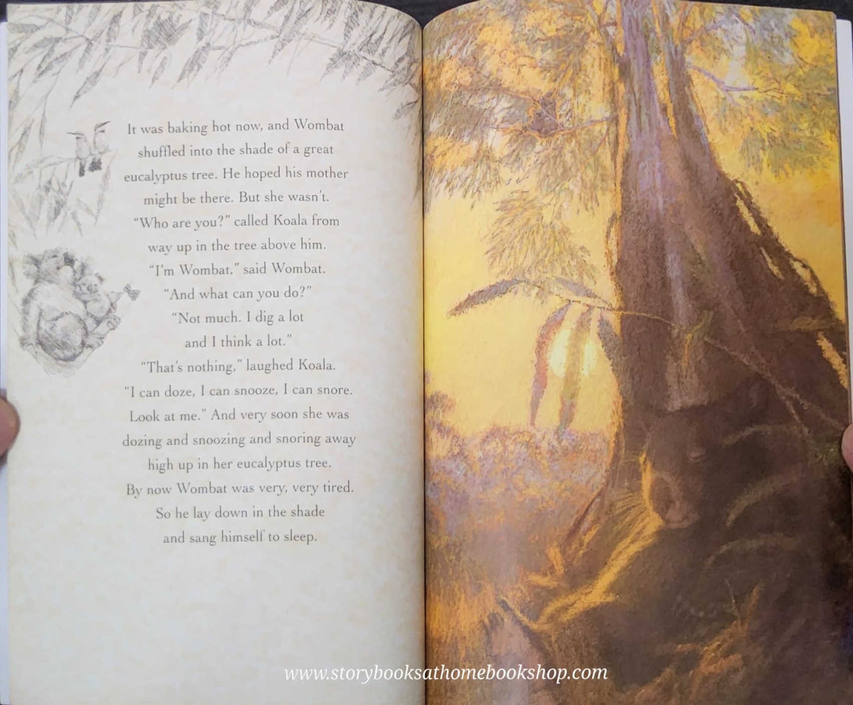 หนังสือนิทานปกอ่อน** 🍅WOMBAT GOES WALKABOUT BY MICHAEL MORPURGO