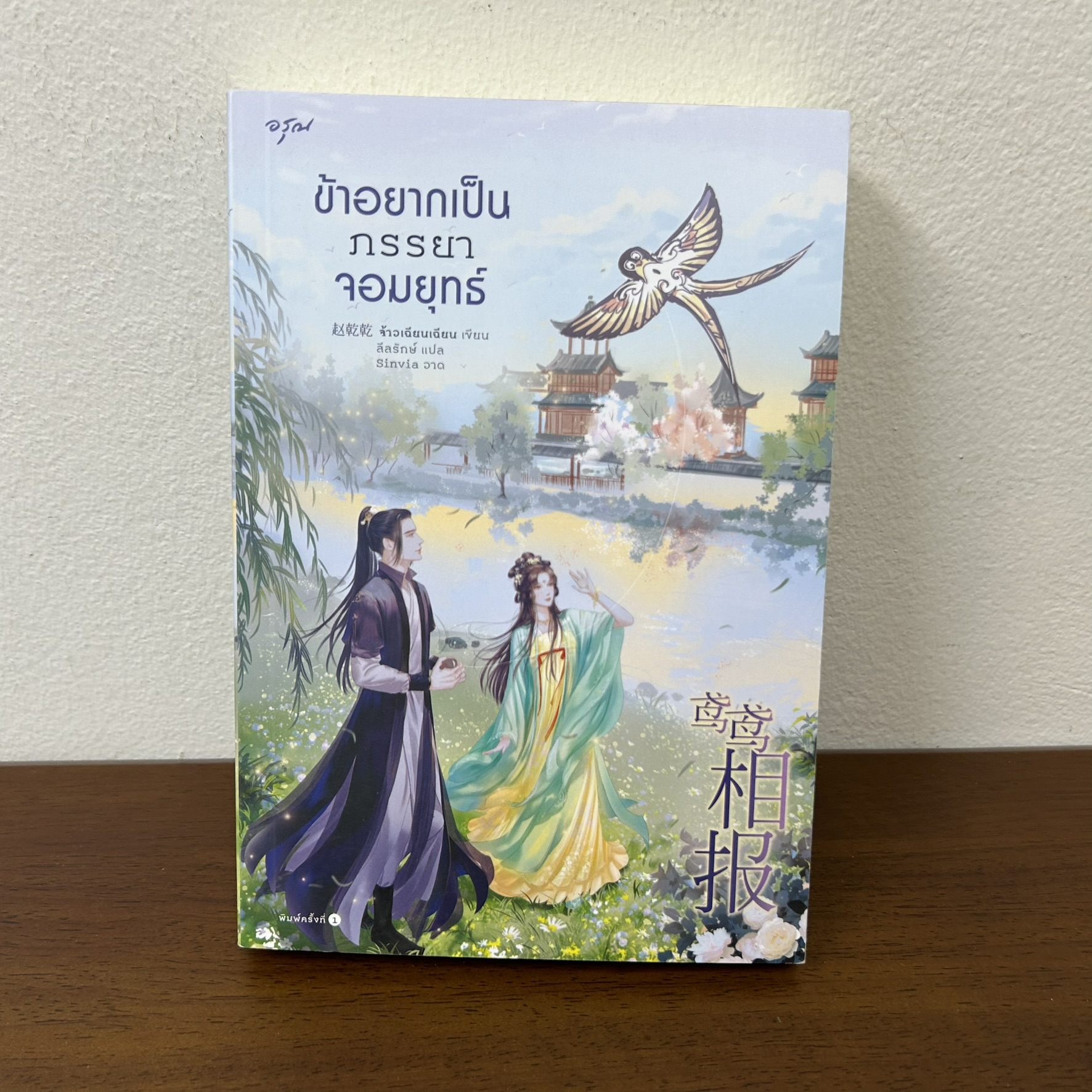 ข้าอยากเป็นภรรยาจอมยุทธ์ ... จ้าวเฉียนเฉียน จ้าวกานกาน (มือสอง) นิยายรัก นิยาย แปลจีน โรแมนติก
