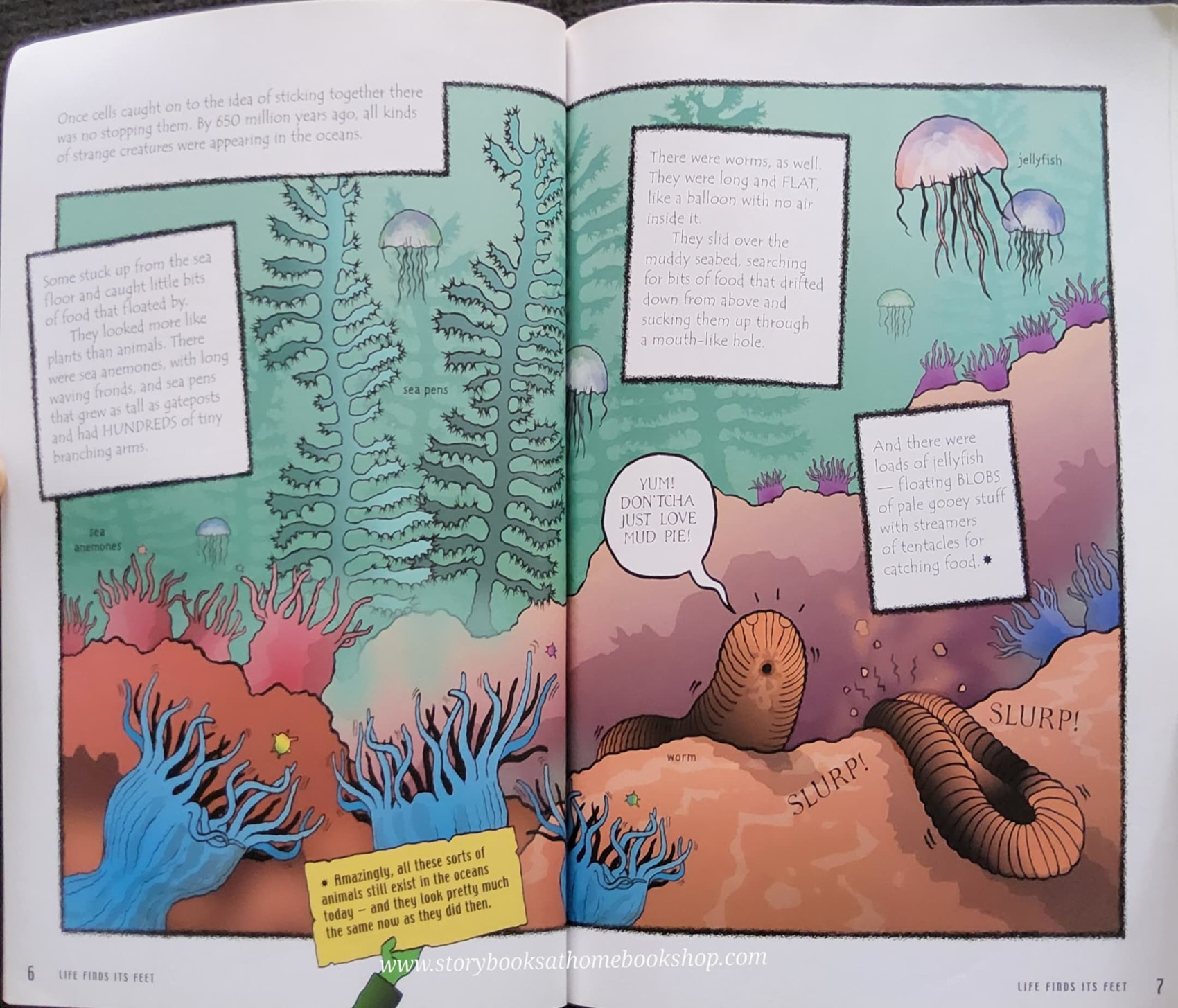 หนังสือนิทานปกอ่อน ** 🍅🍓A CARTOON HISTORY OF THE EARTH:LIFE FINDS ITS FEET