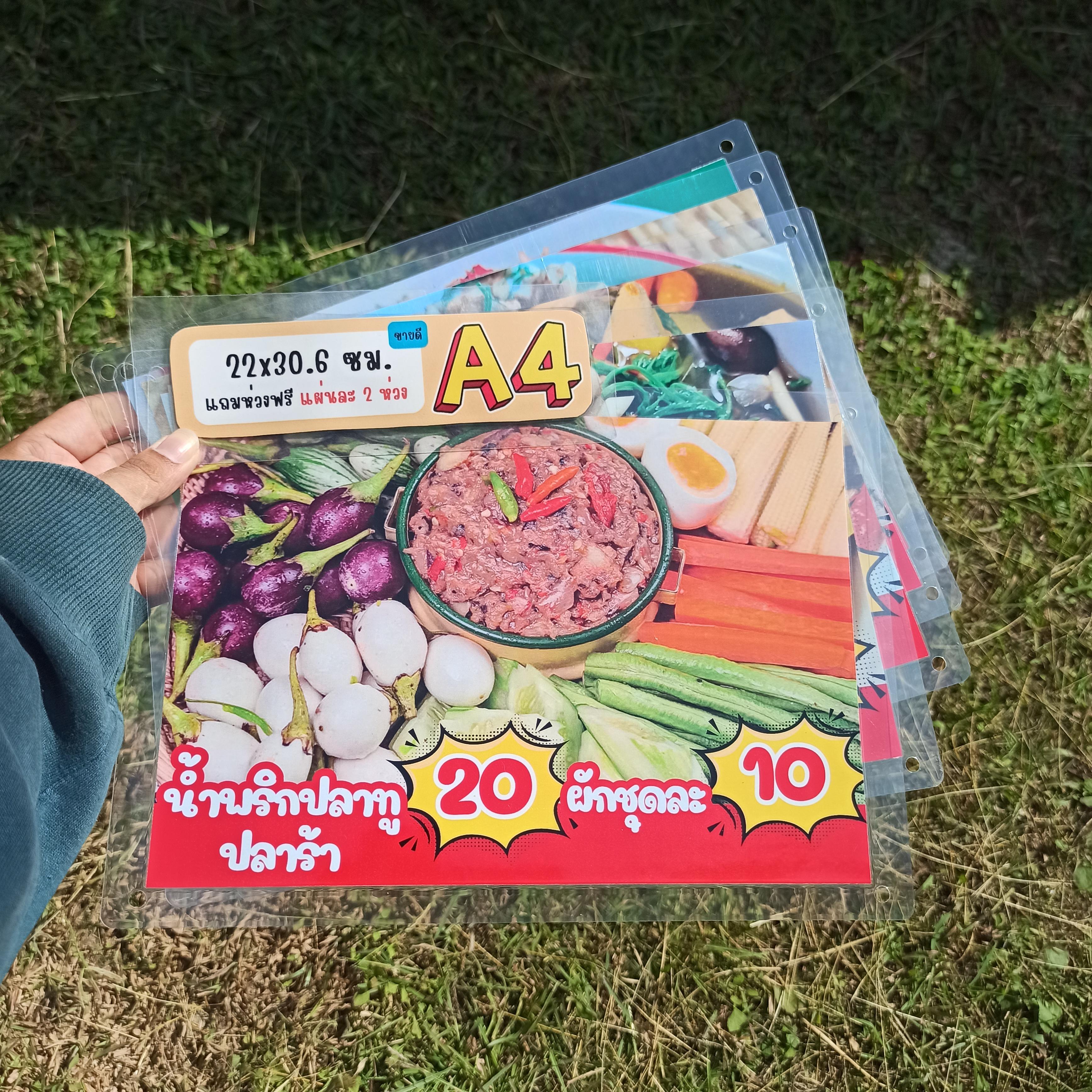 ชุดป้ายเมนู A4 อาหารพื้นบ้าน 5 แผ่น | แกงเห็ดรวม, แกงเปรอะหน่อไม้, แกงอ่อมไก่, แกงอ่อมหมู, น้ำพริกปลาทูปลาร้า | เพิ่มยอดขายร้านของคุณทันที! | รหัส 4142
