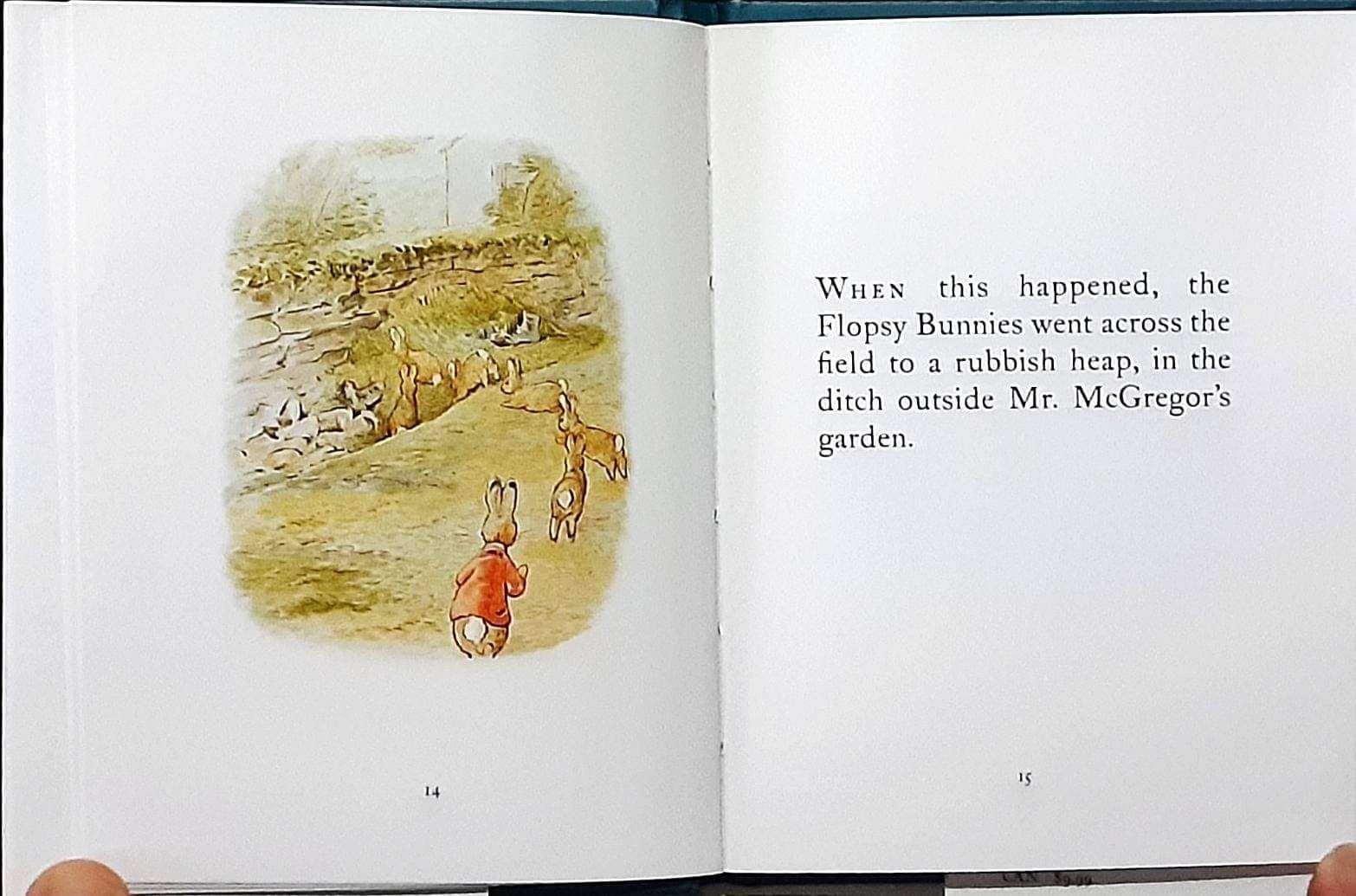 หนังสือนิทานปกแข็ง** 🍅🍓THE TALE OF THE FLOPSY BUNNIES BY BEATRIX POTTER