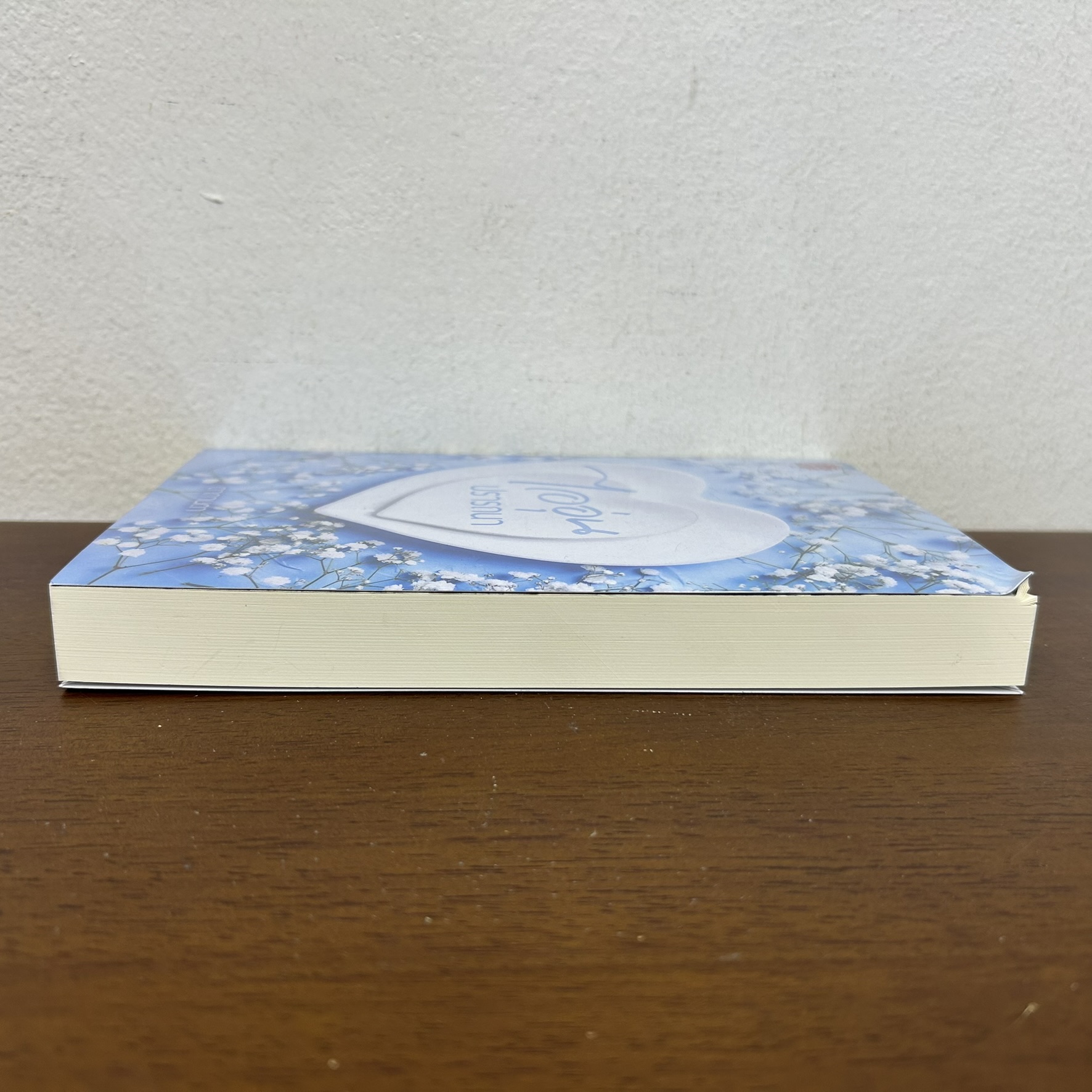 ไออุ่นปรารถนา ... ดากานดา (มือสอง) นิยาย โรมานซ์ ทำมือ