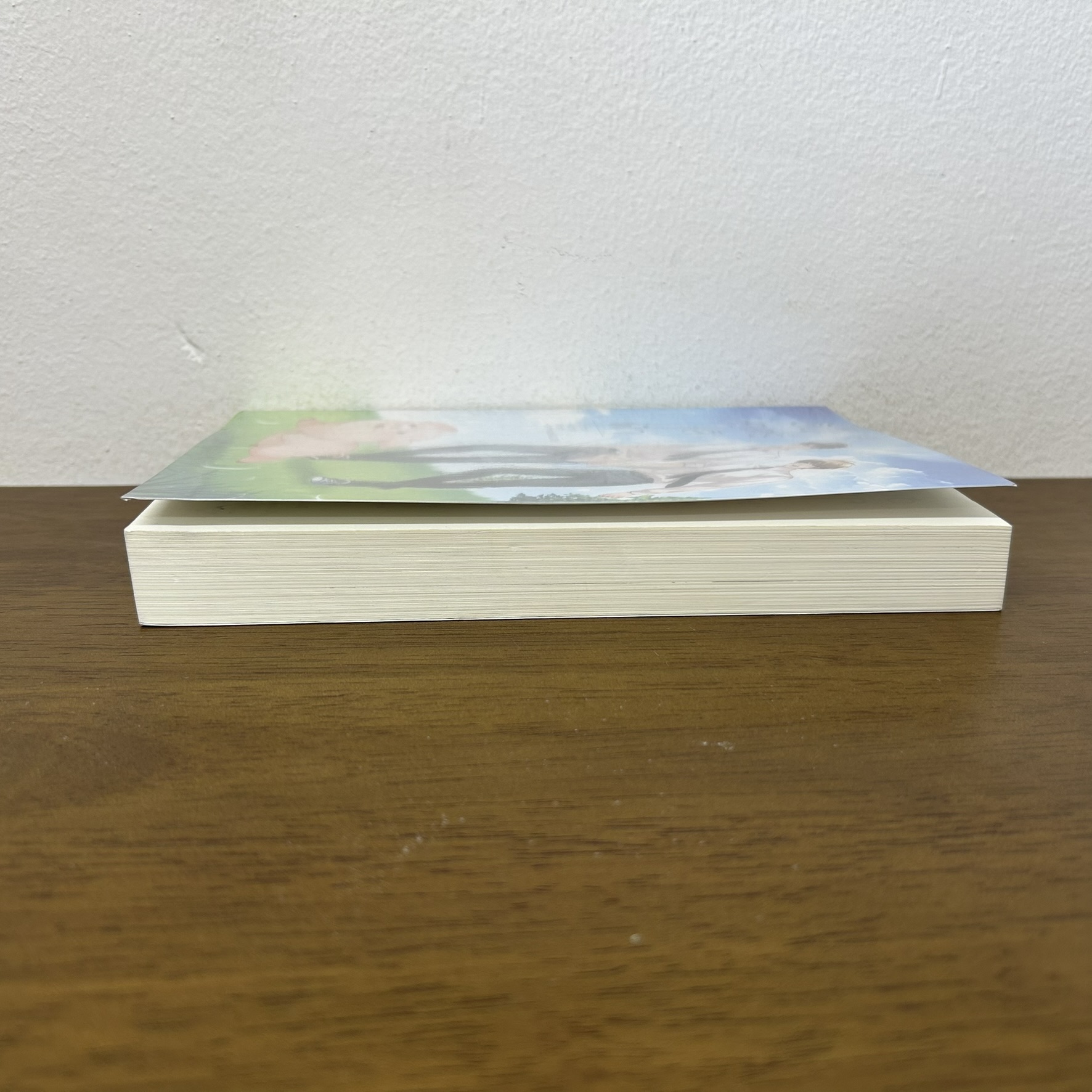 [YAOI] วันศุกร์สีฟ้า ... aonair (มือสอง) นิยายวาย Hermit